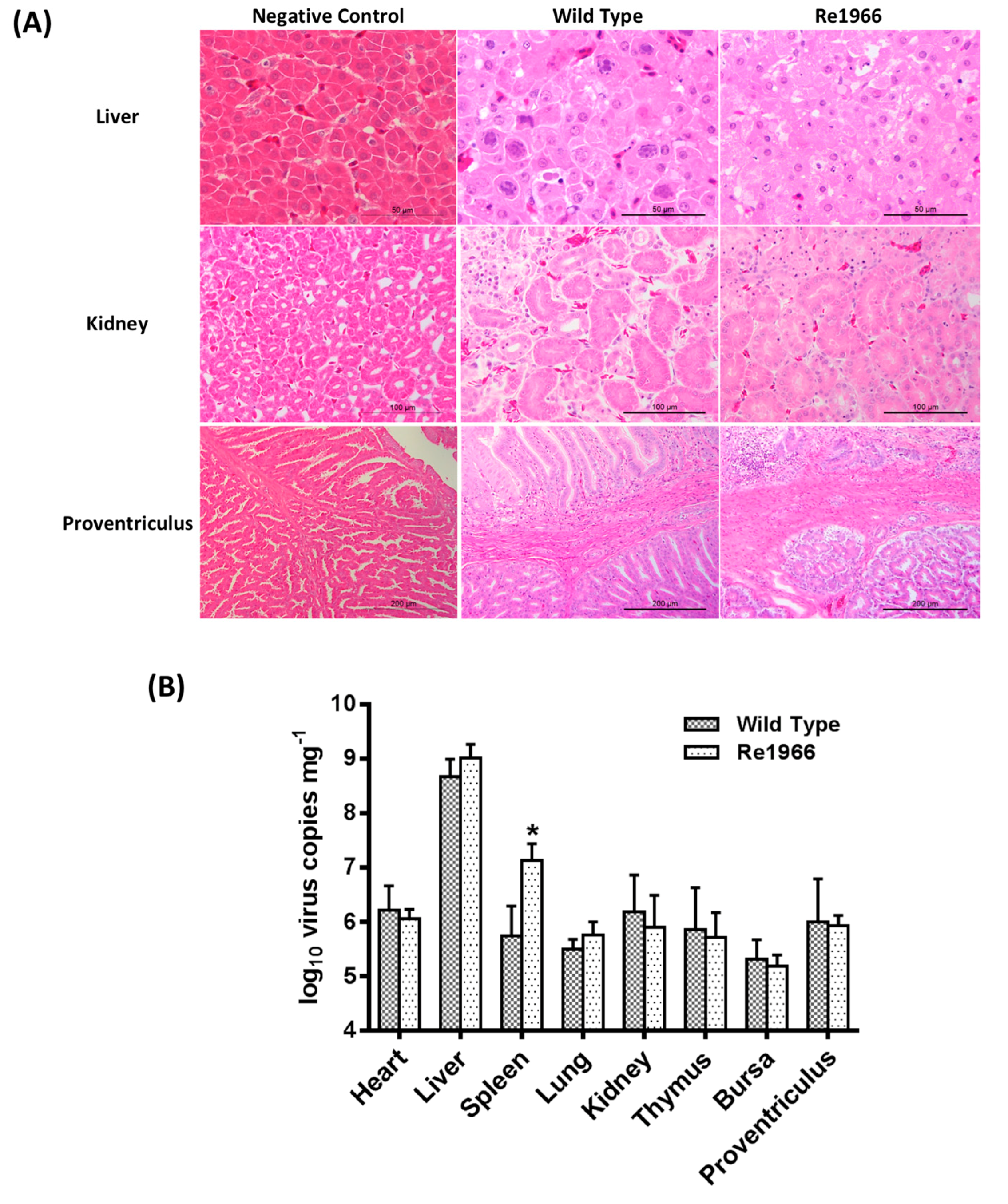 Viruses 10 00494 g006 Viruses 10 00494 g006