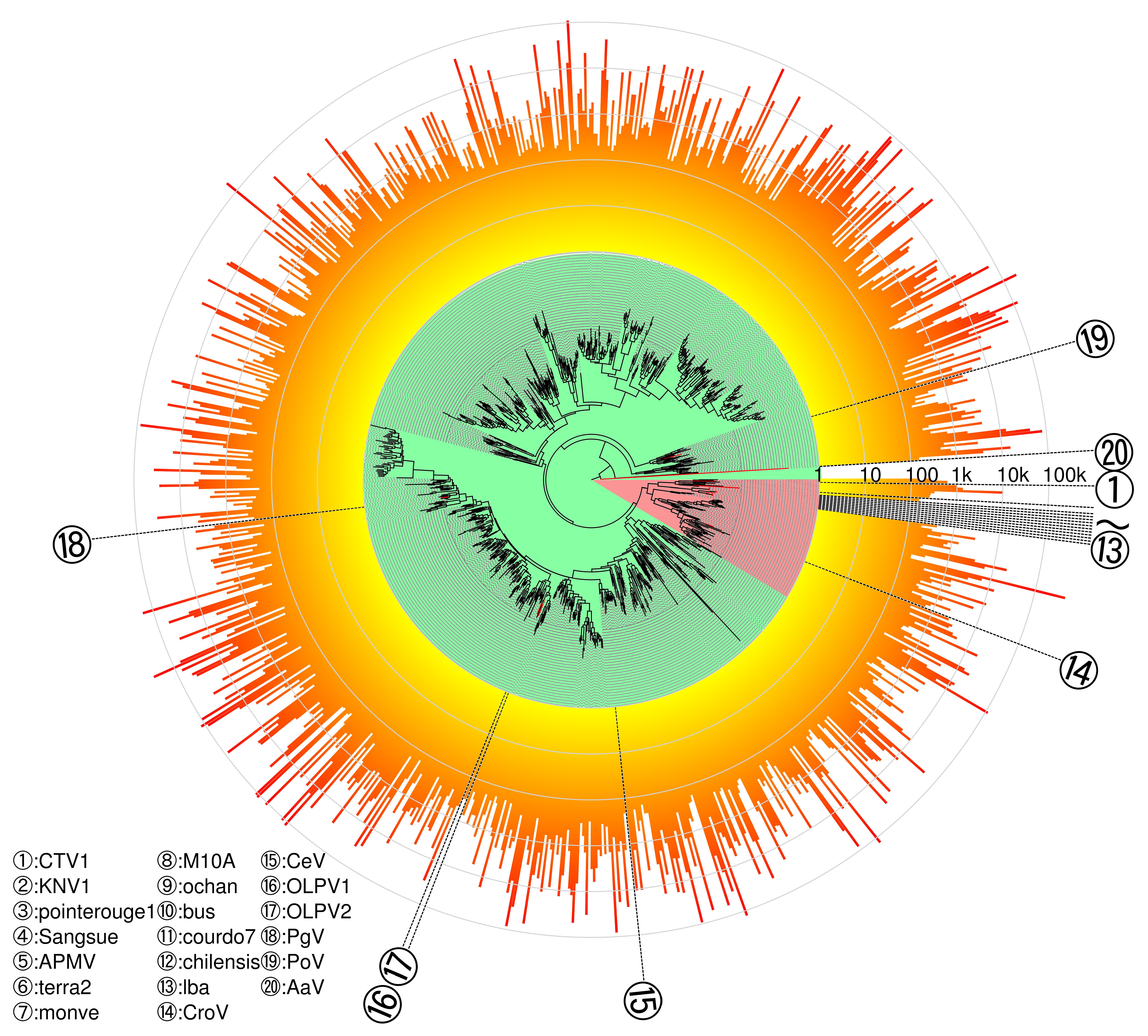 Viruses 10 00496 g005