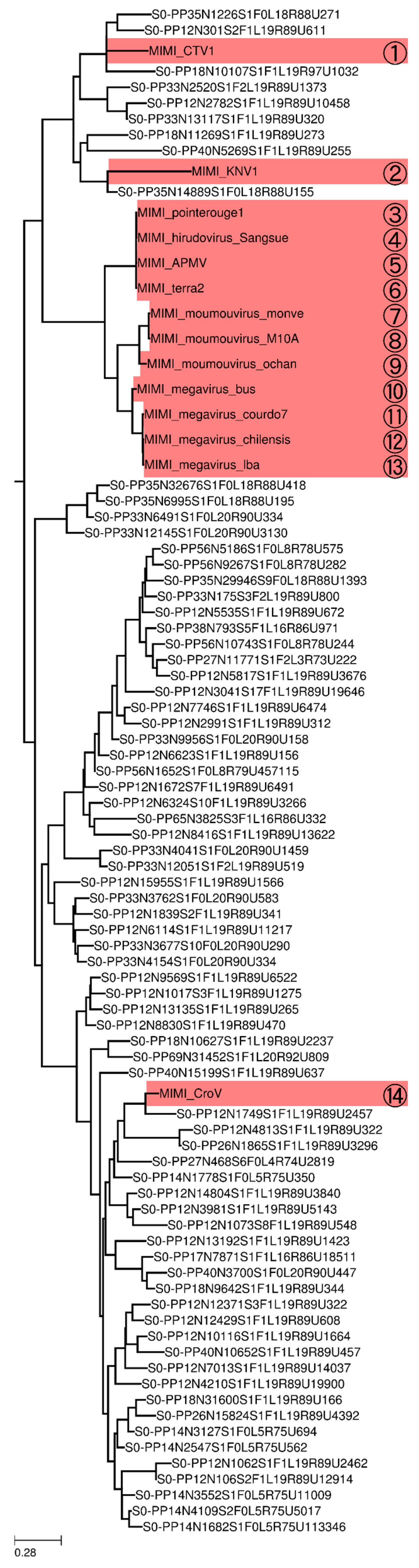 Viruses 10 00496 g006
