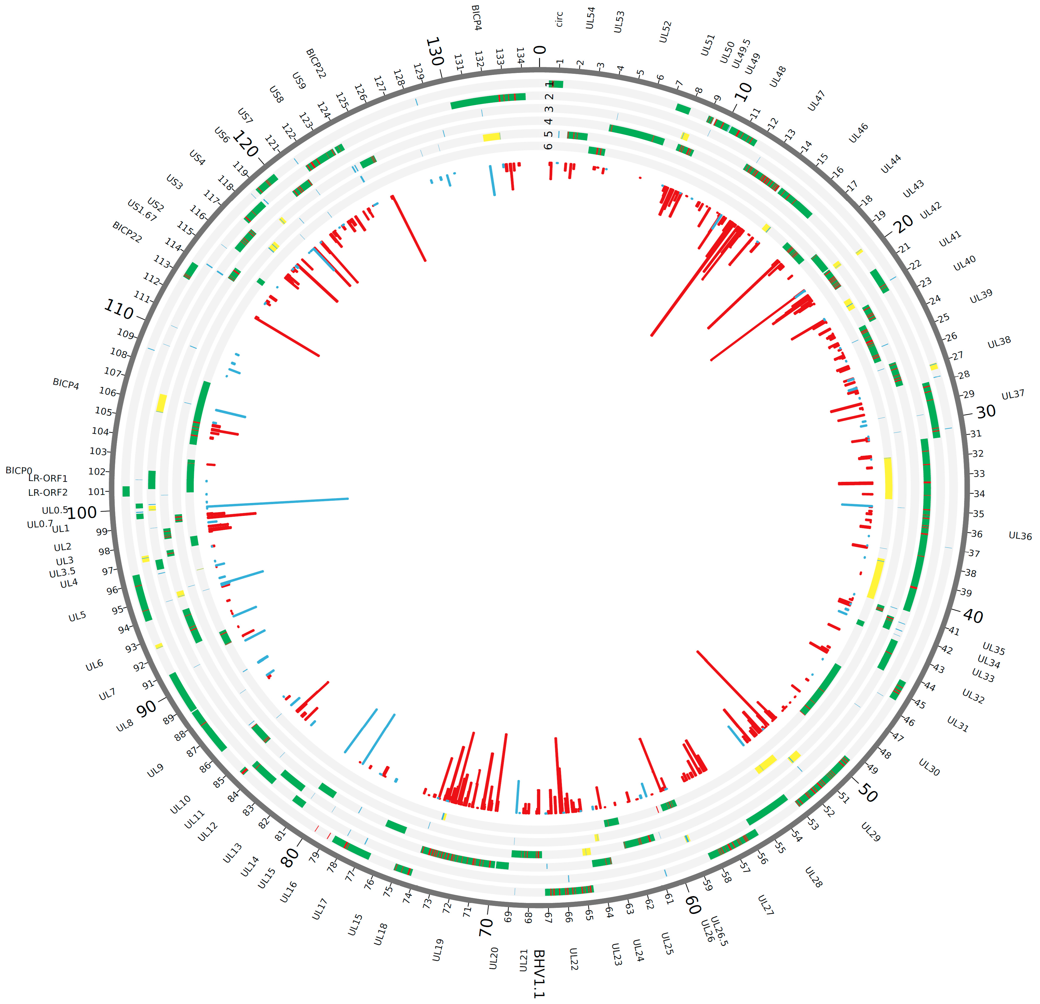 Viruses 10 00499 g001 Viruses 10 00499 g001