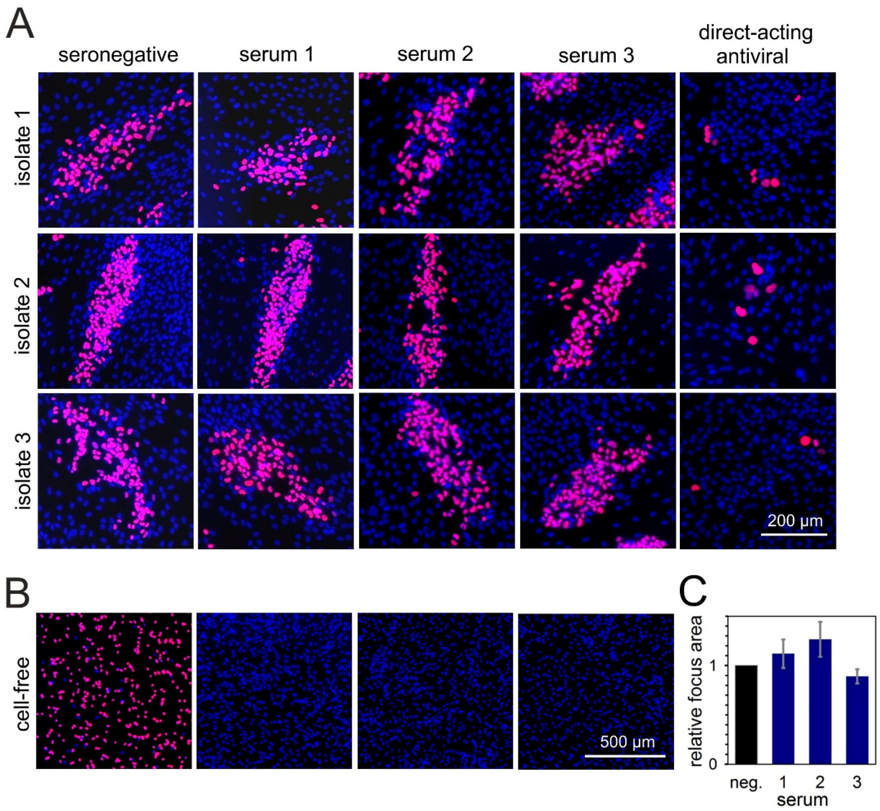 Viruses 10 00500 g003 Viruses 10 00500 g003