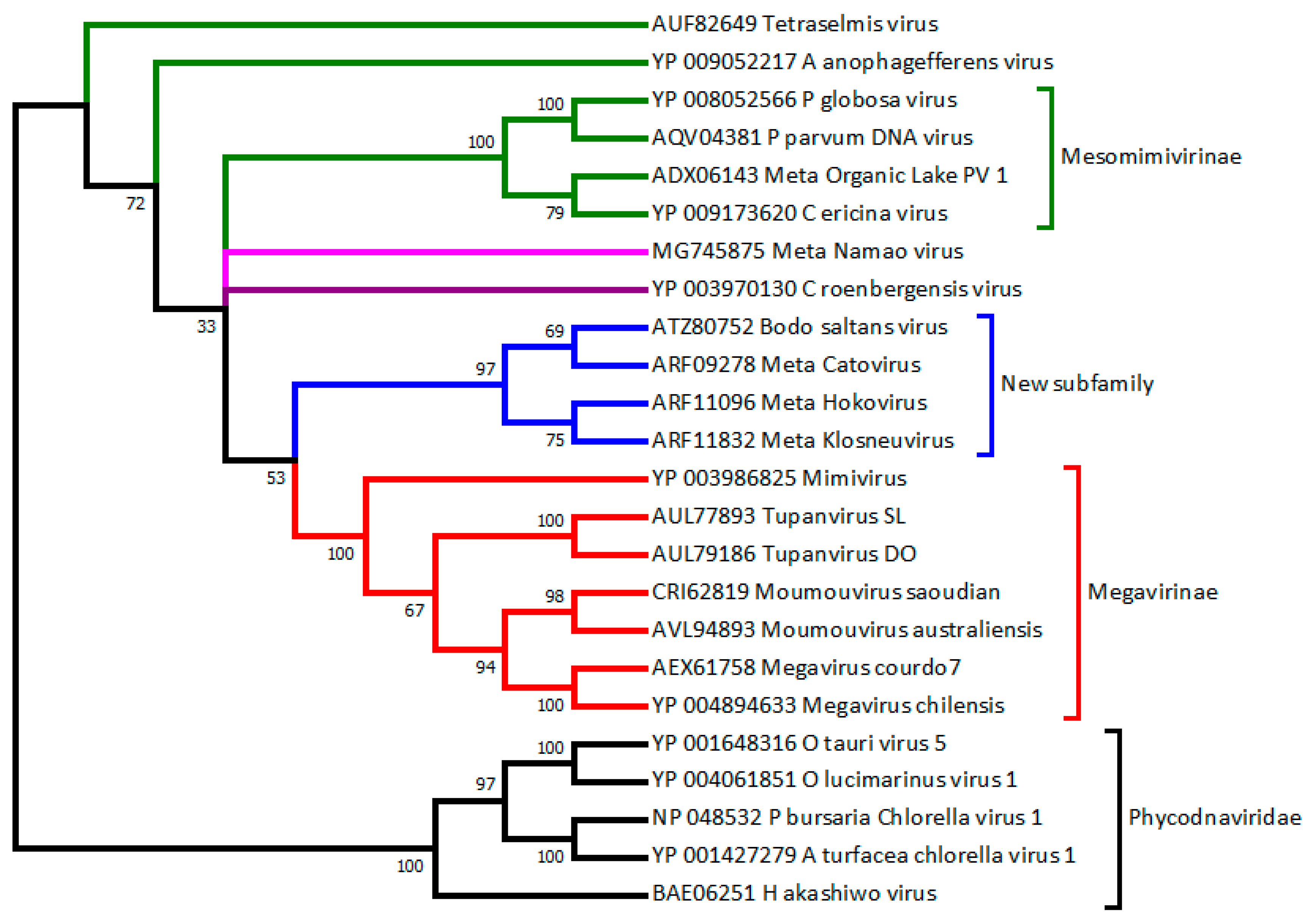 Viruses 10 00506 g001