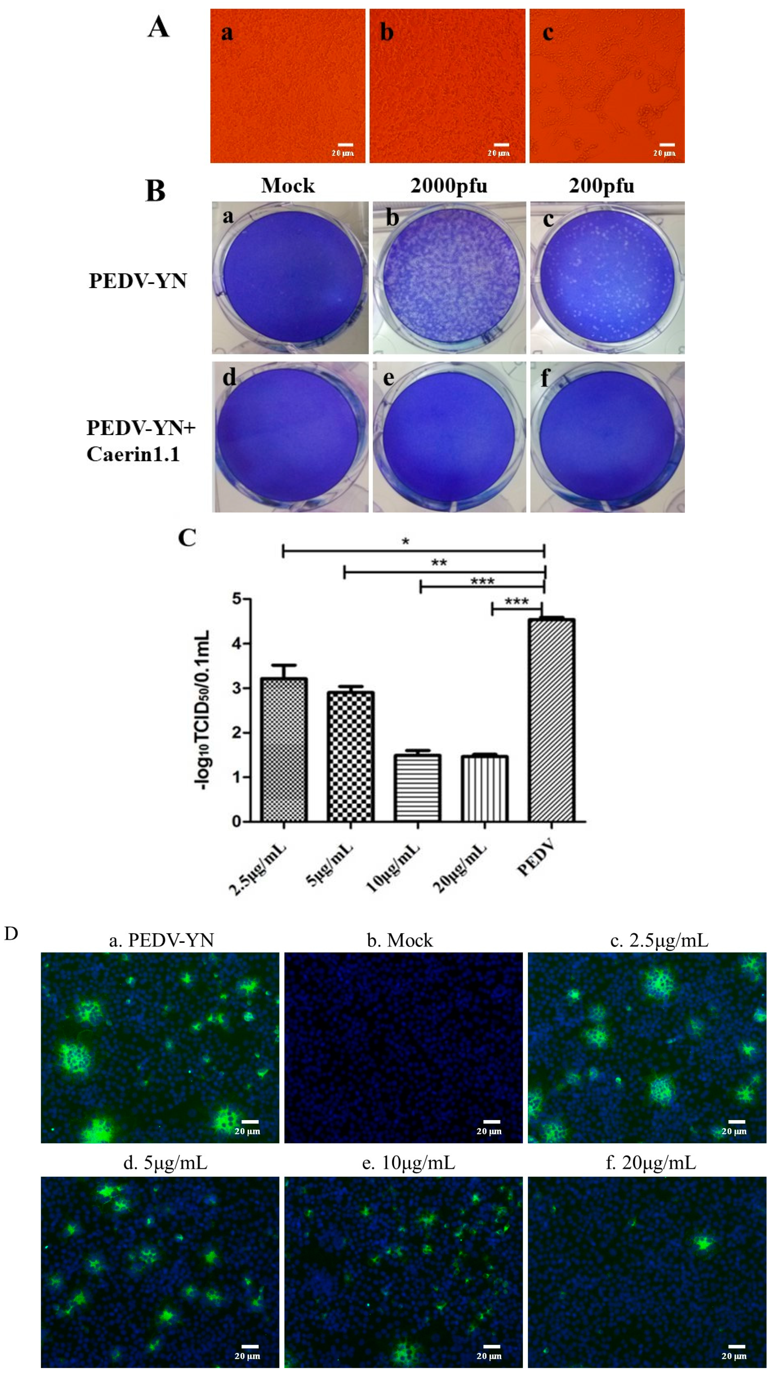 Viruses 10 00507 g003 Viruses 10 00507 g003