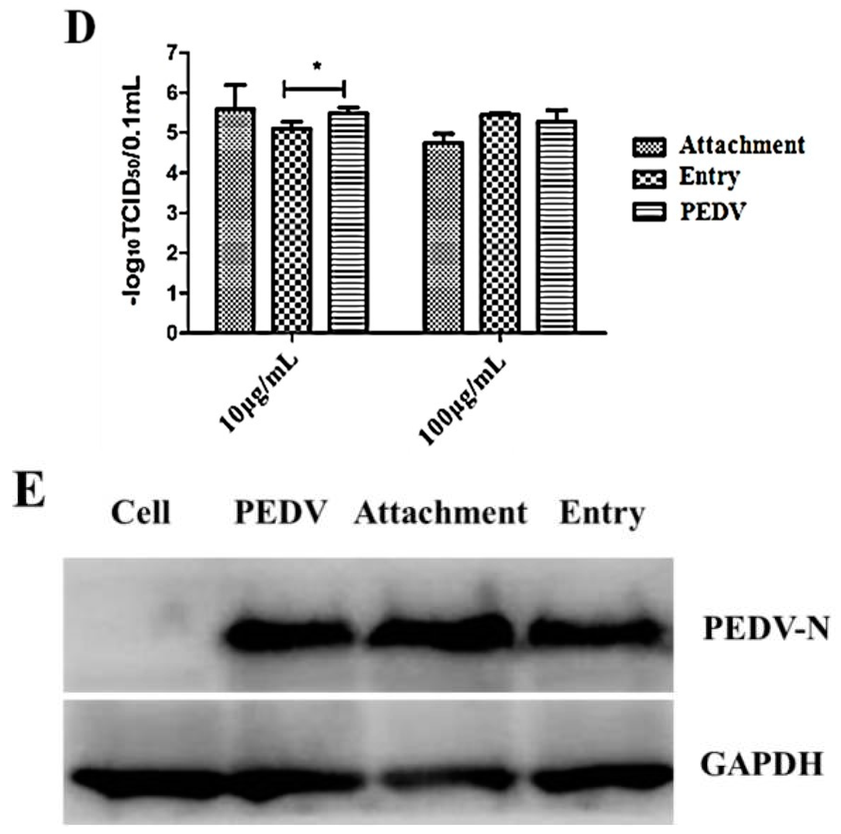 Viruses 10 00507 g007b Viruses 10 00507 g007b
