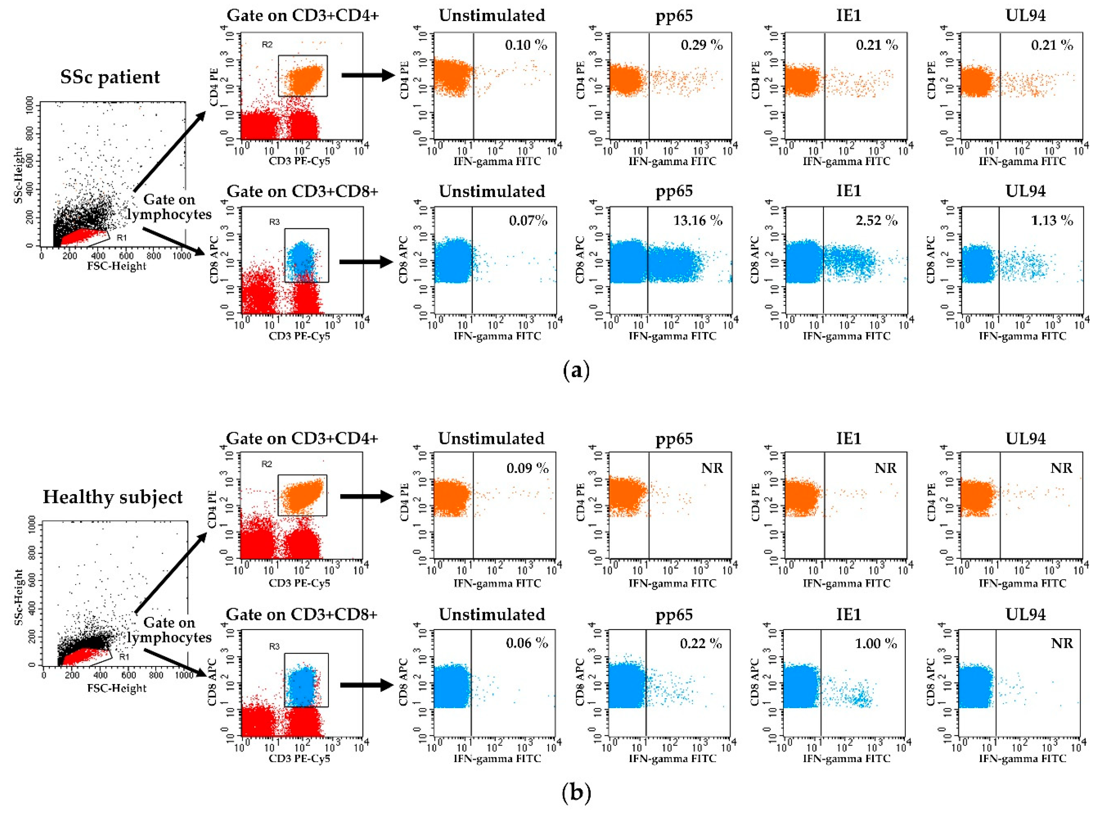 Viruses 10 00508 g001