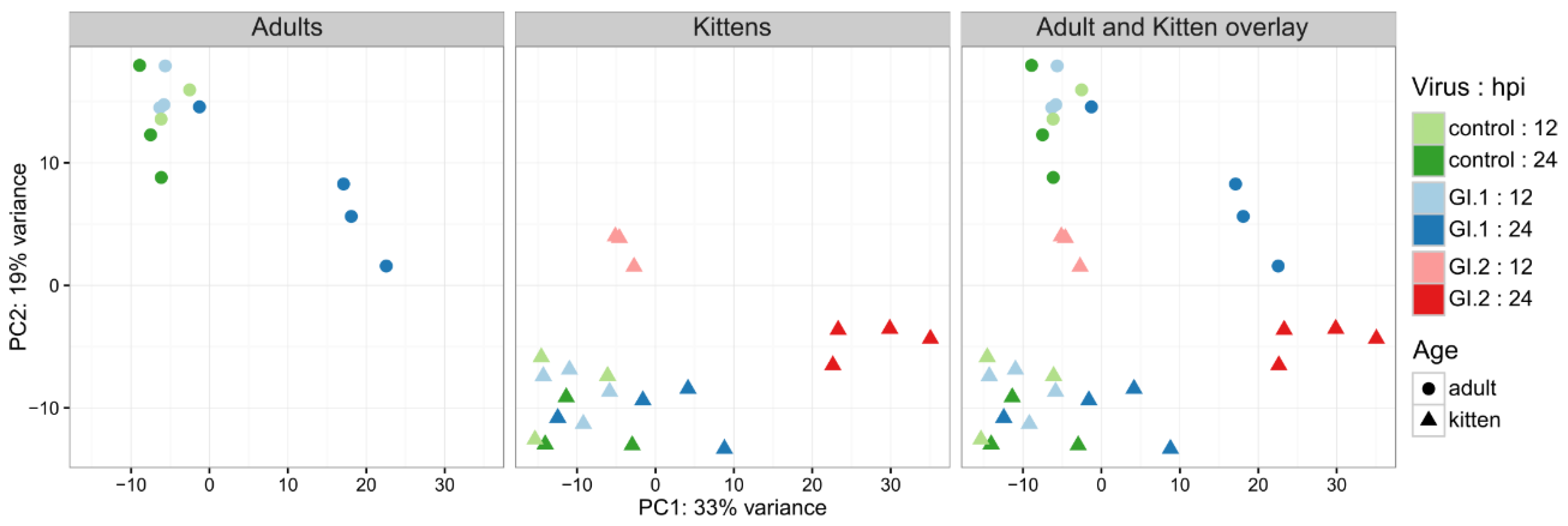 Viruses 10 00512 g001 Viruses 10 00512 g001