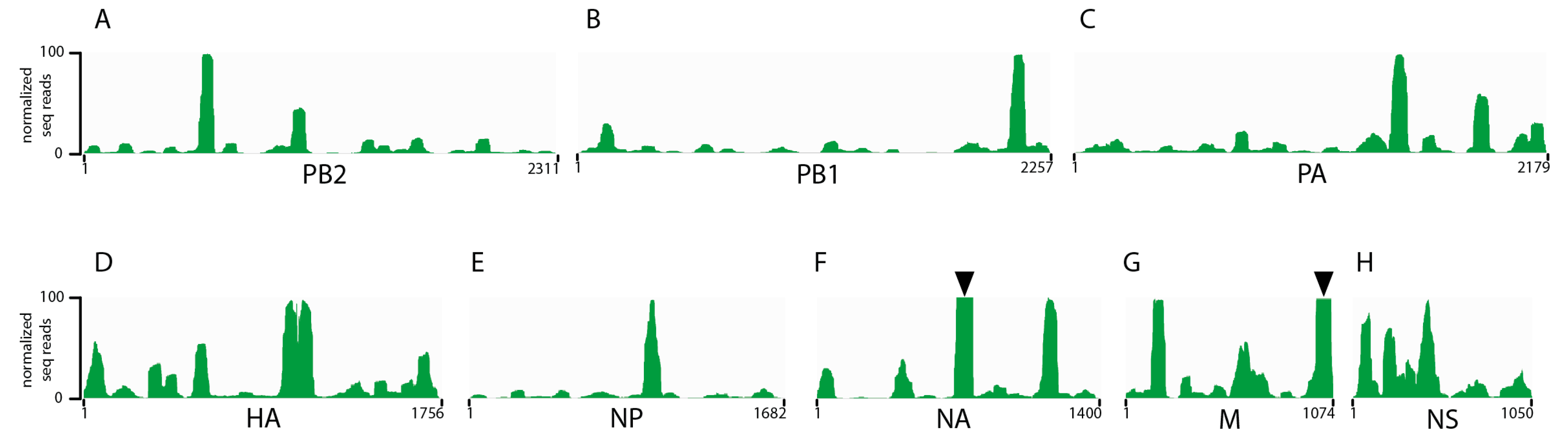 Viruses 10 00522 g002