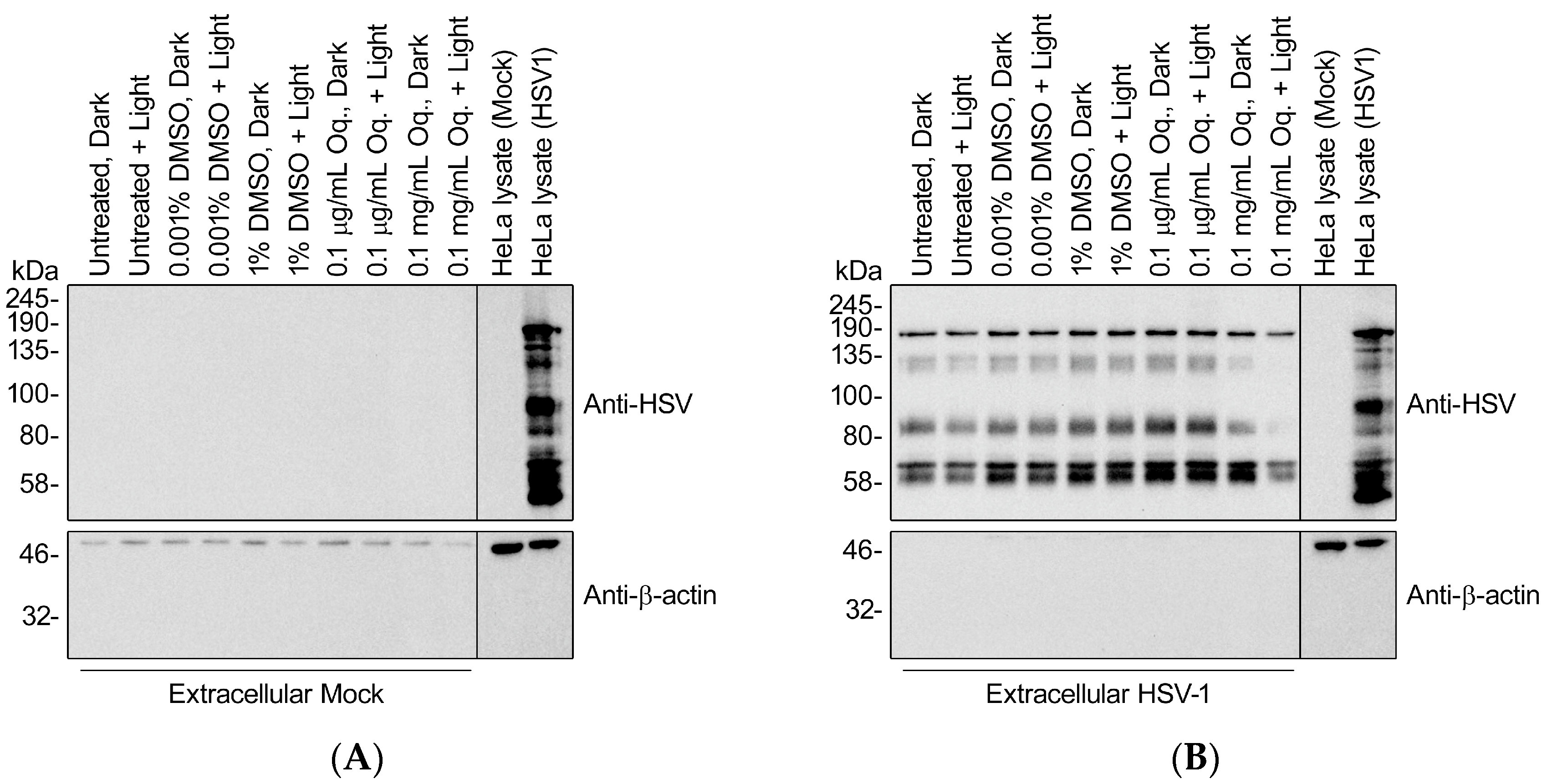 Viruses 10 00532 g008