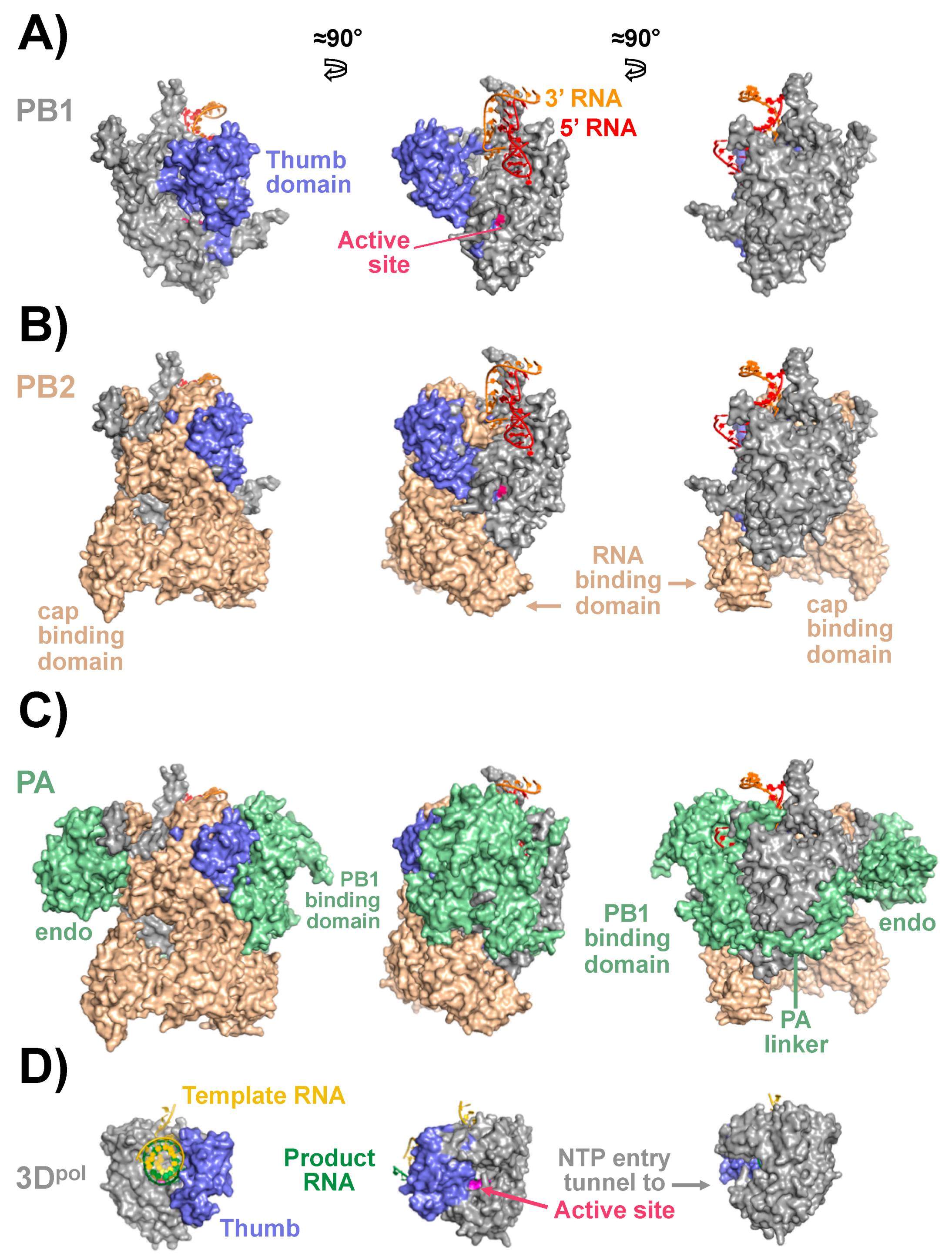 Viruses 10 00560 g002