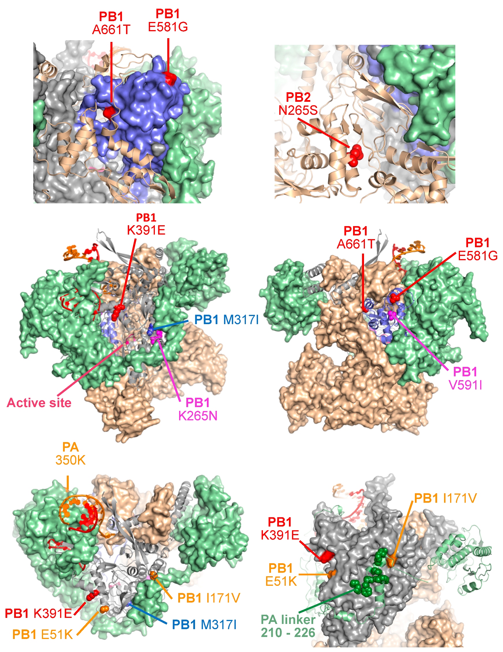 Viruses 10 00560 g005