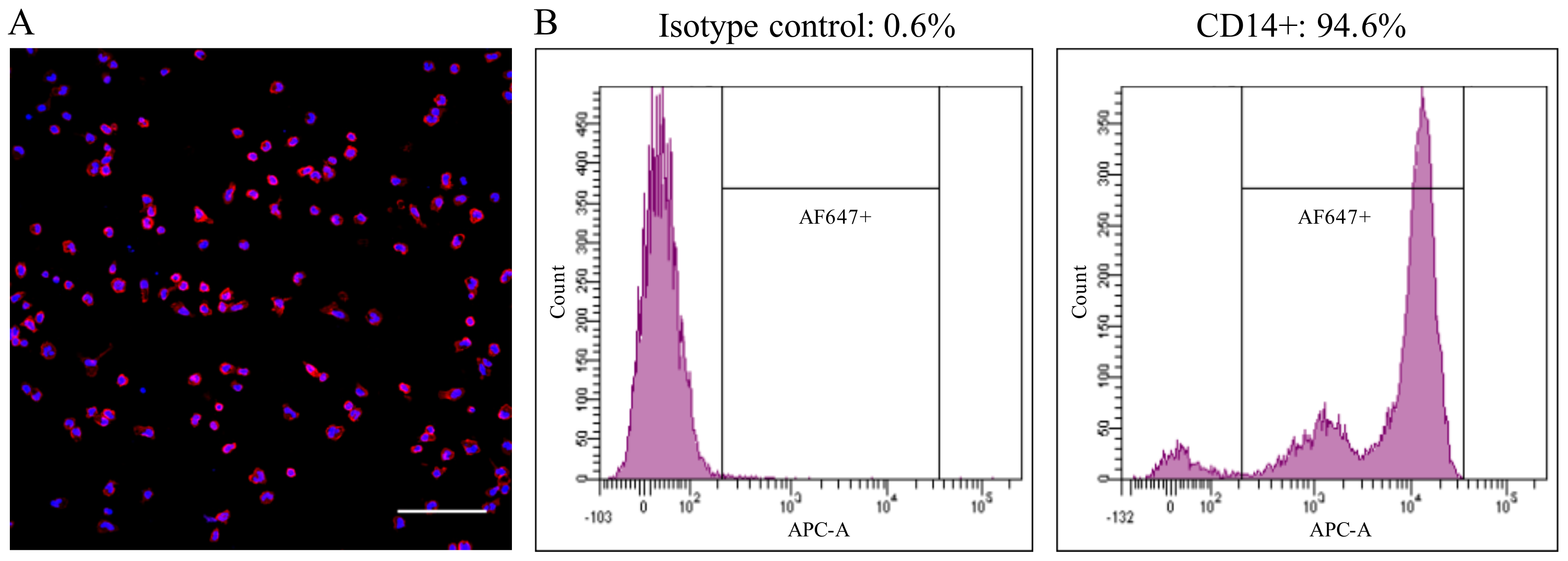 Viruses 10 00562 g001 Viruses 10 00562 g001