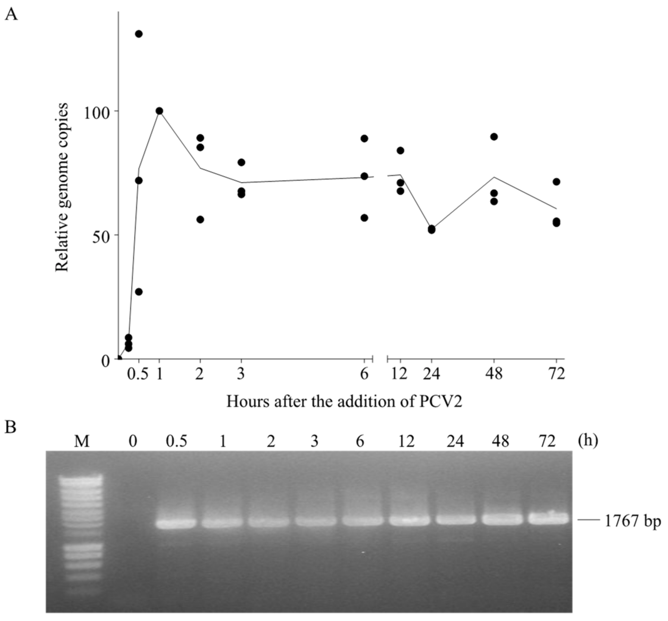 Viruses 10 00562 g008 Viruses 10 00562 g008