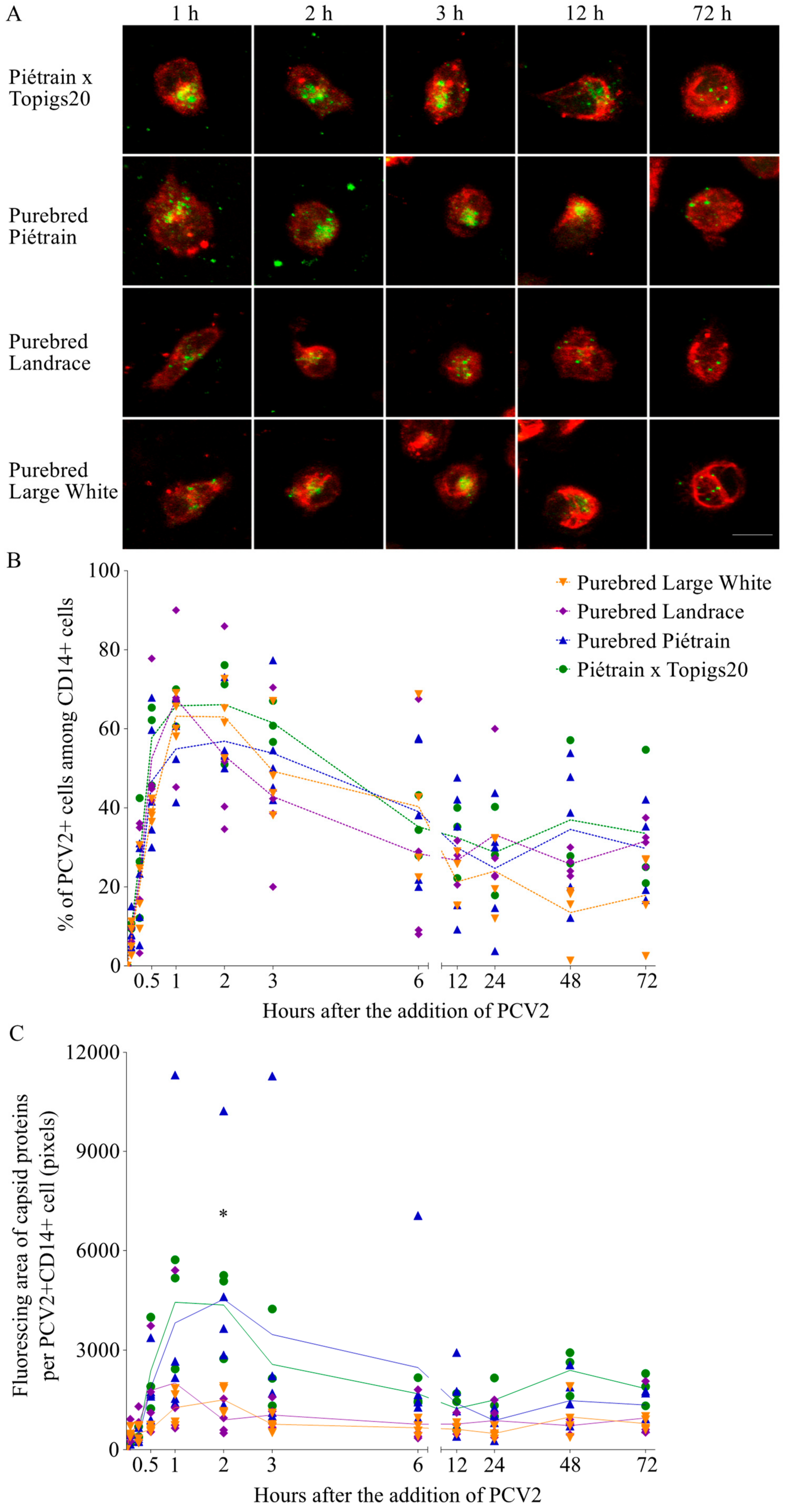 Viruses 10 00562 g010a Viruses 10 00562 g010a