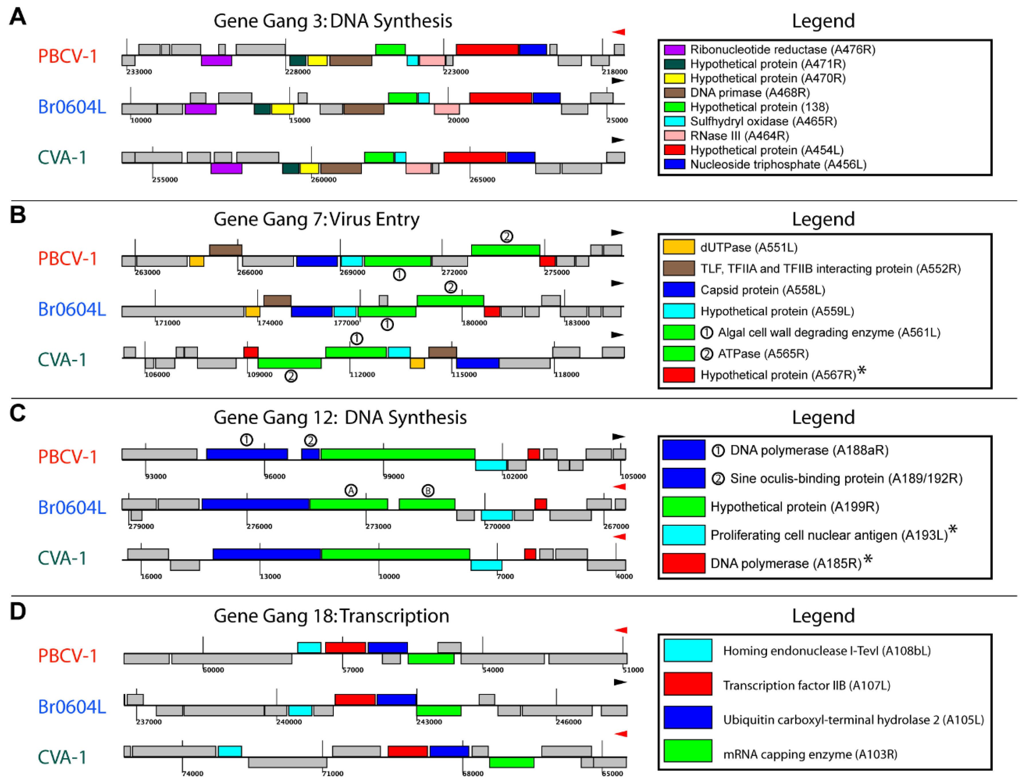 Viruses 10 00576 g004 Viruses 10 00576 g004