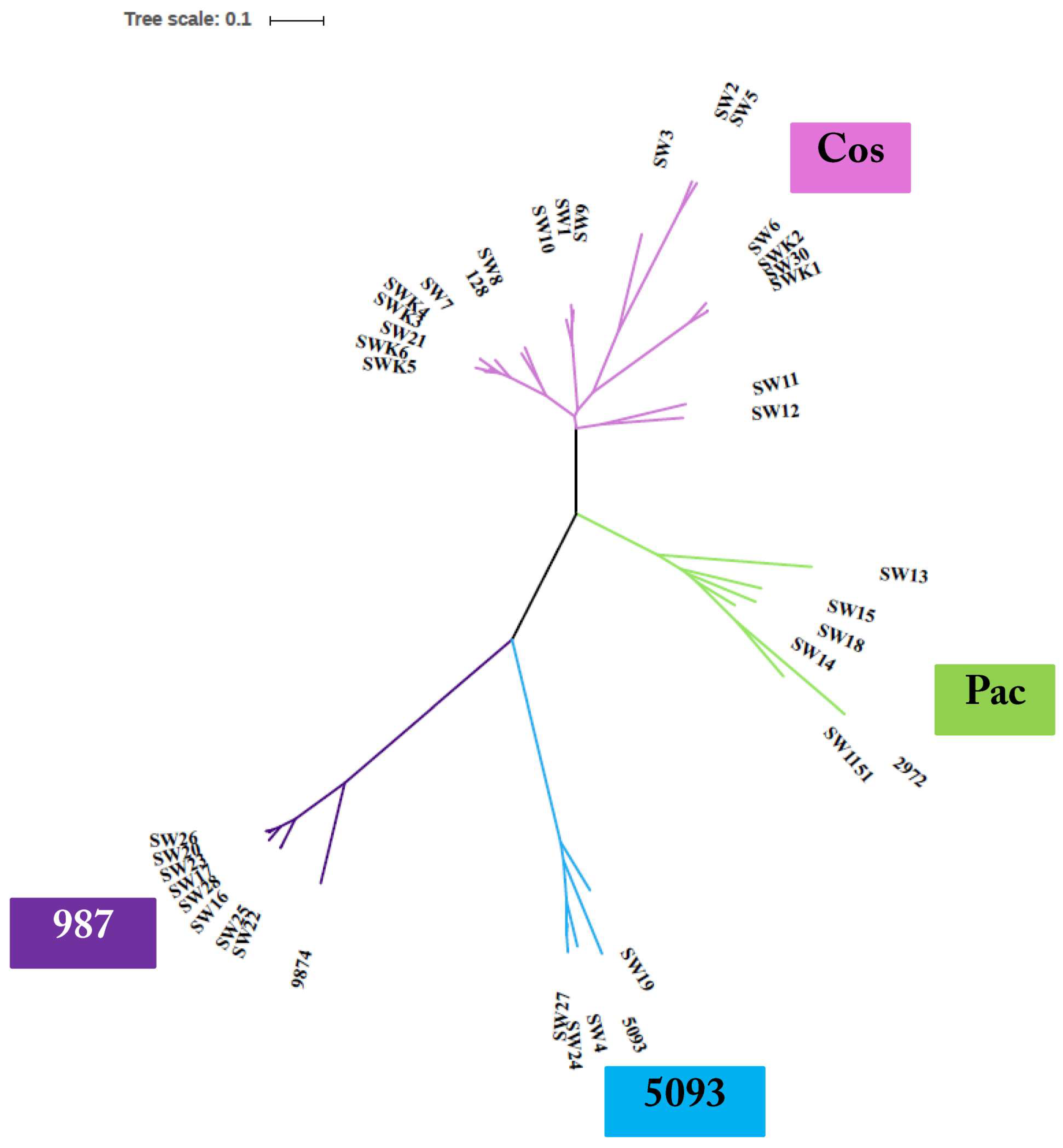 Viruses 10 00577 g001