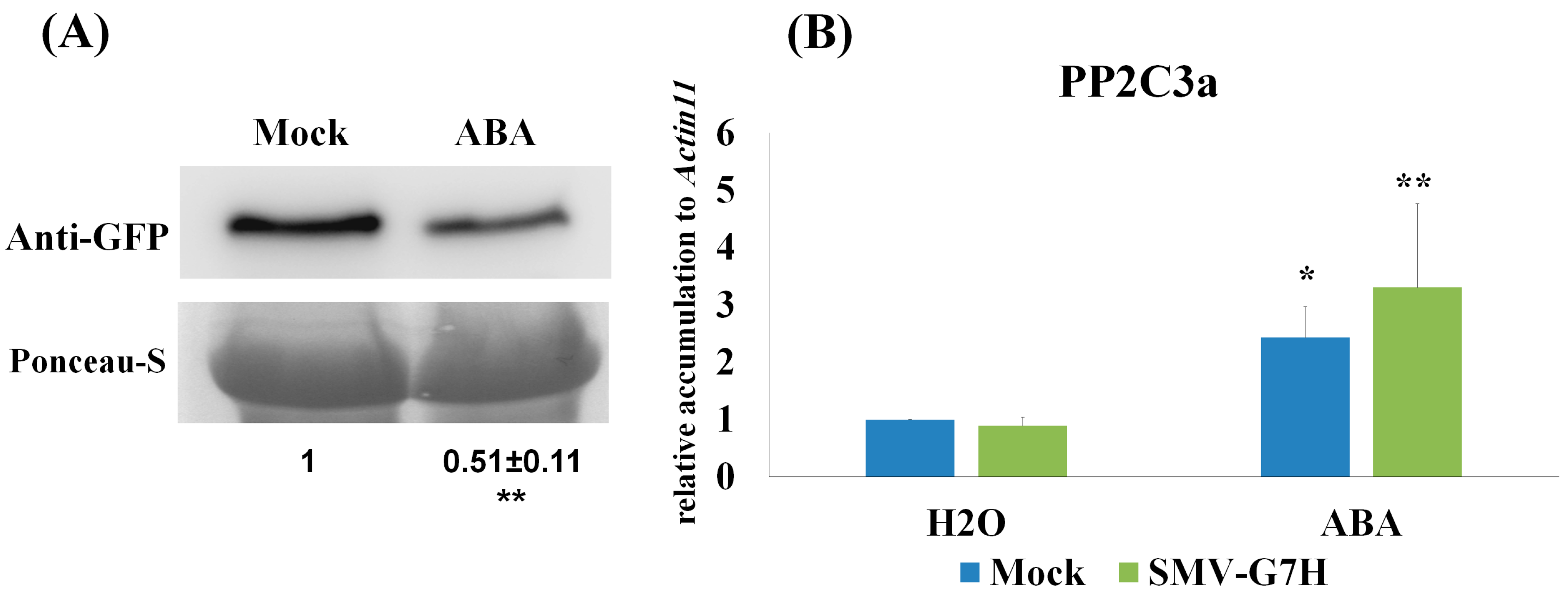 Viruses 10 00581 g004