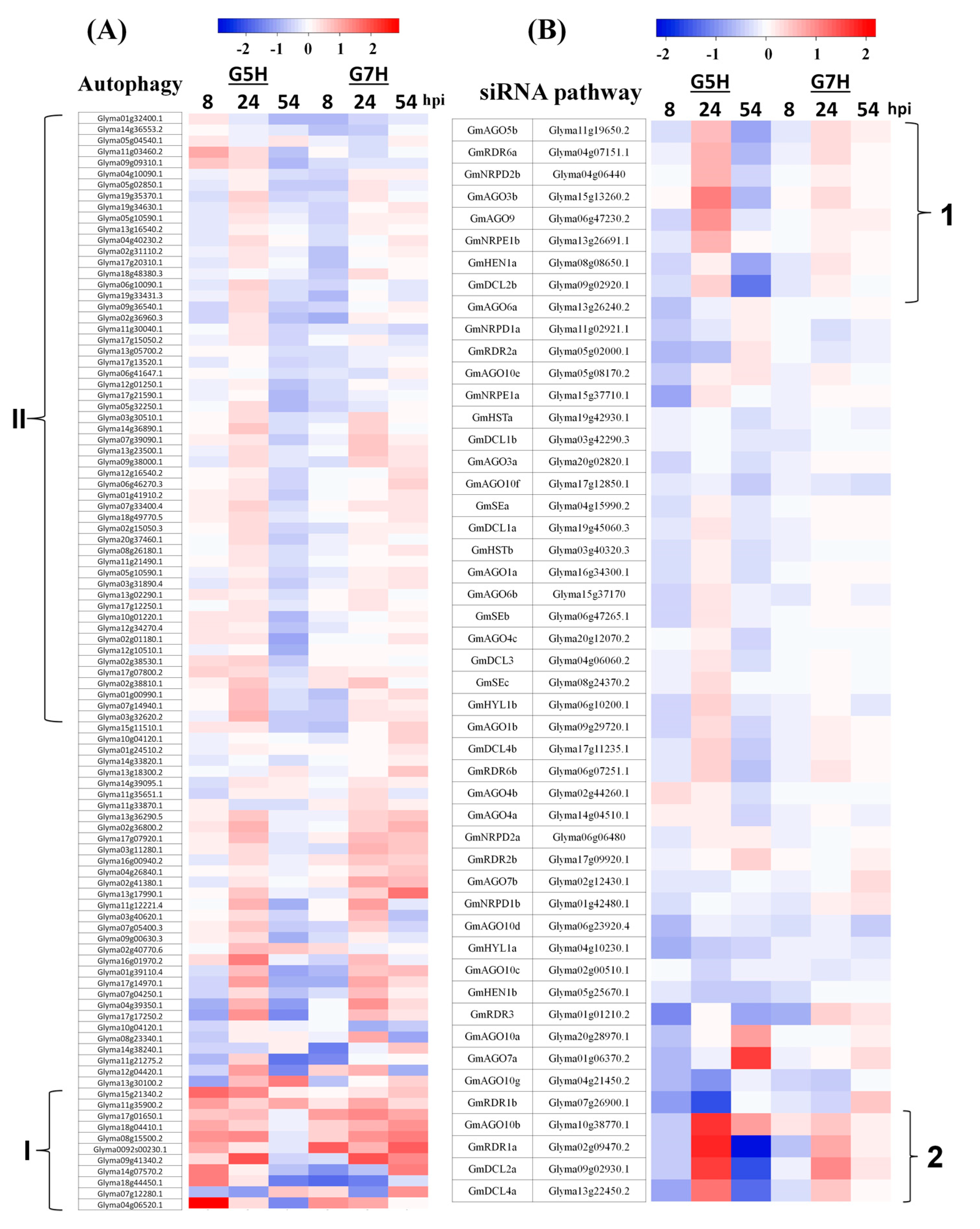 Viruses 10 00581 g005