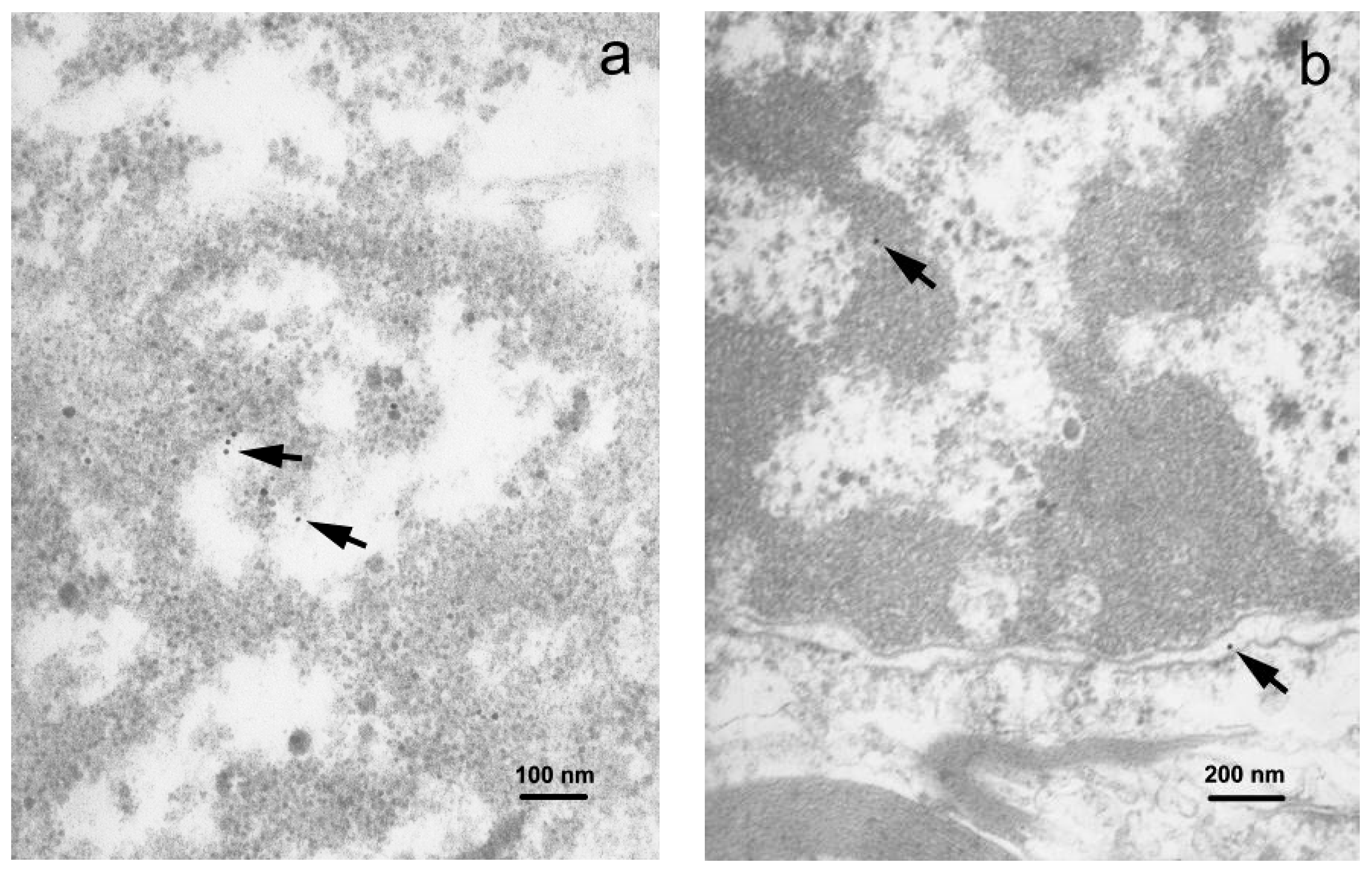 Viruses 10 00582 g005 Viruses 10 00582 g005