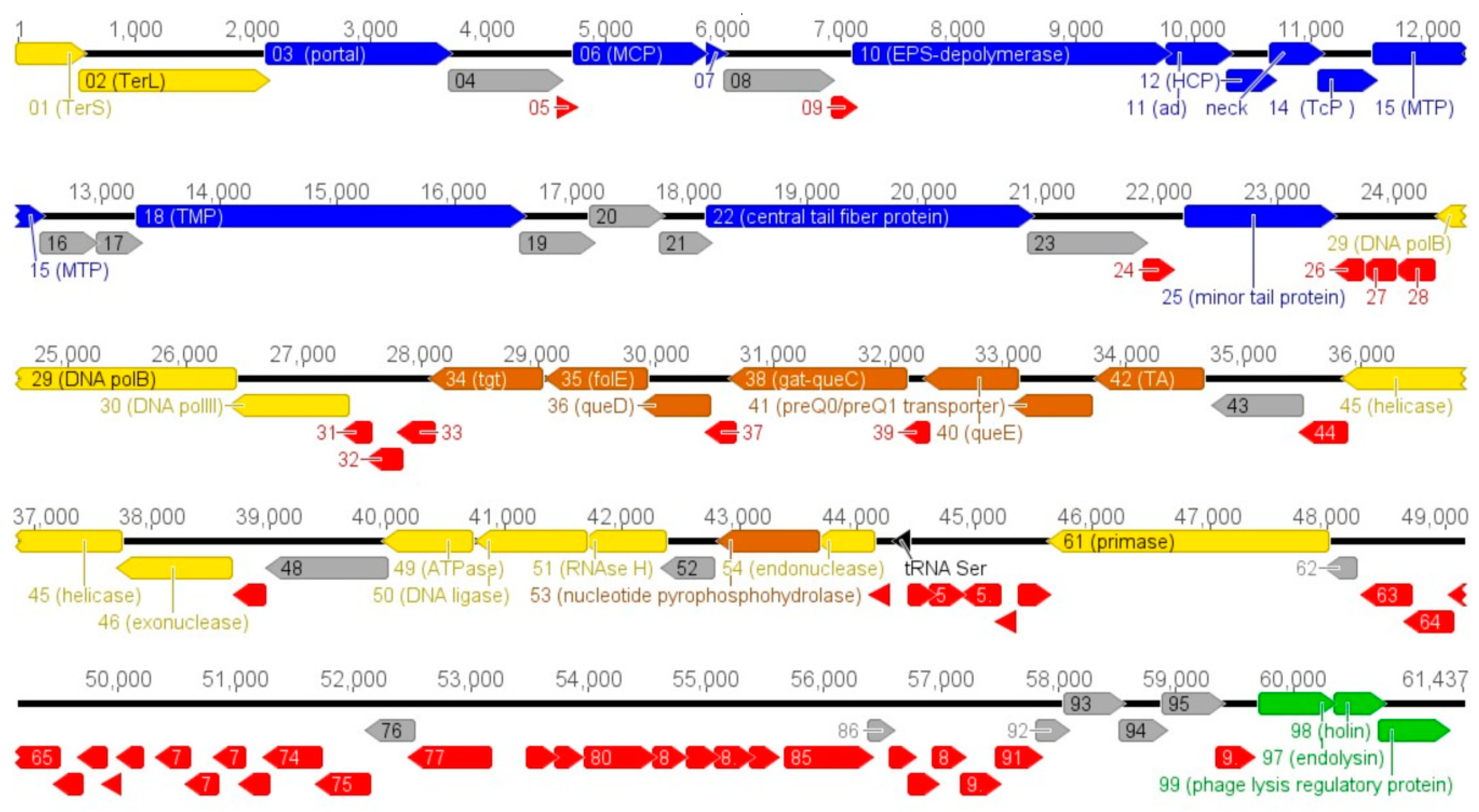 Viruses 10 00583 g002