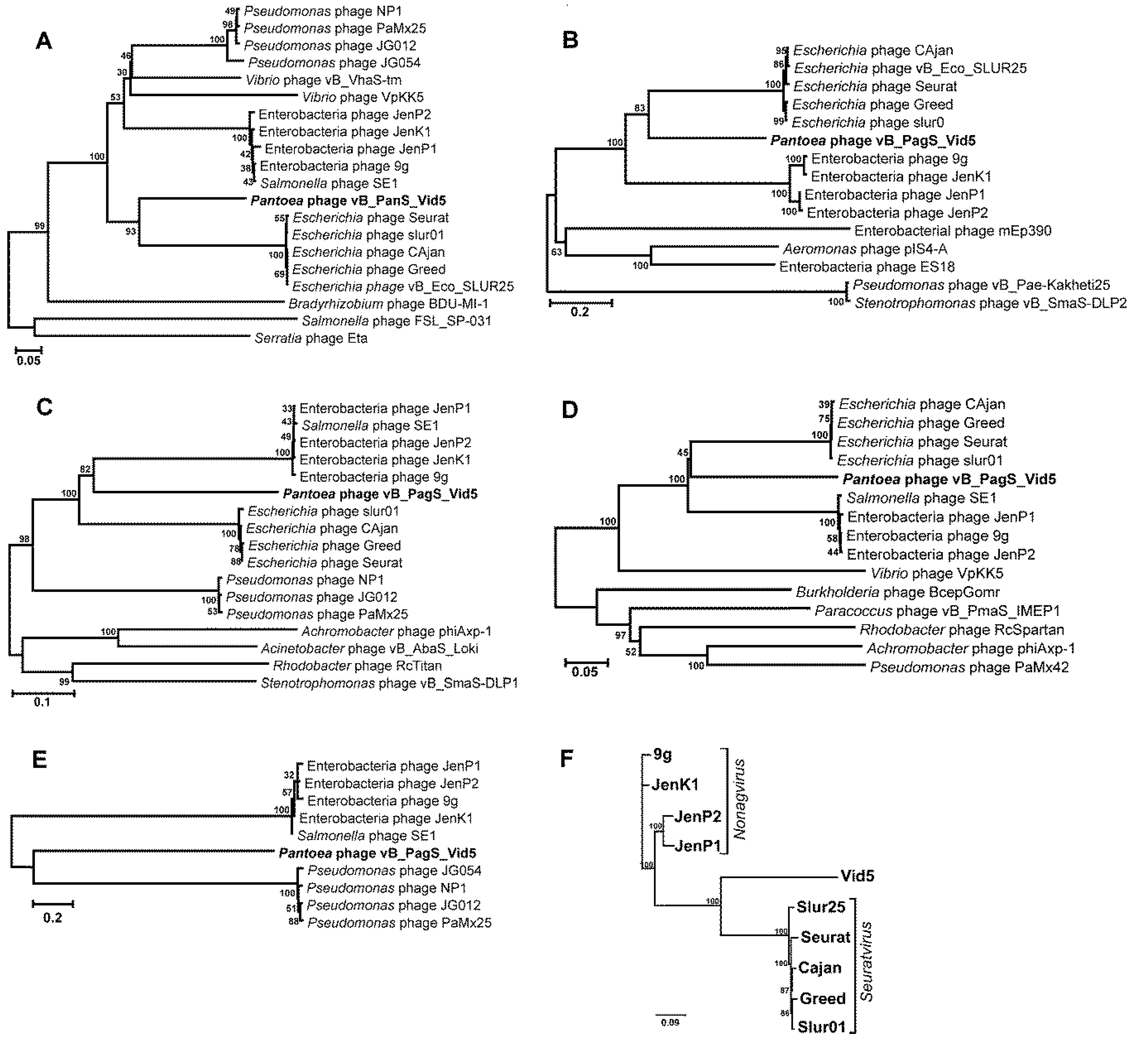 Viruses 10 00583 g003