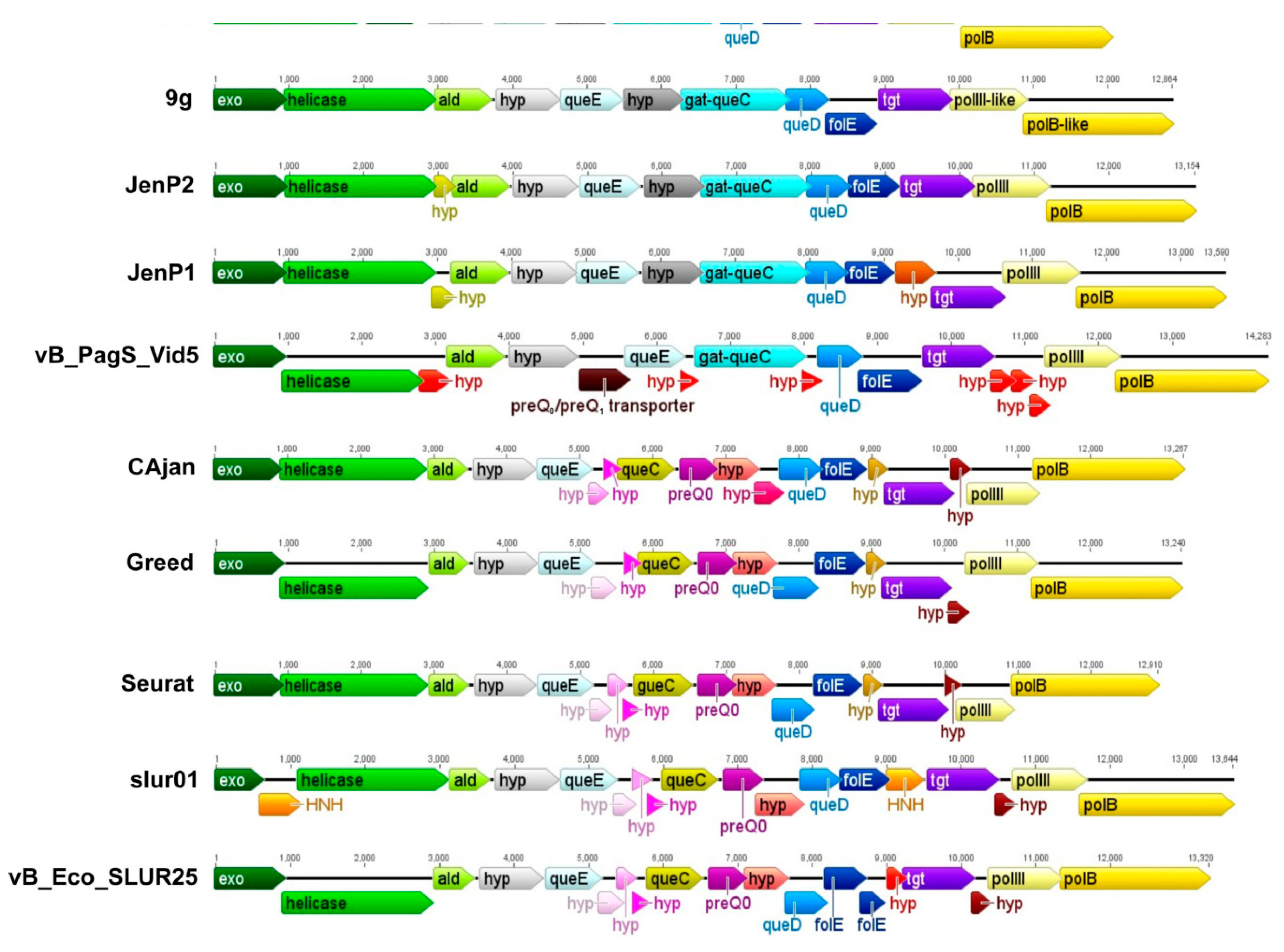 Viruses 10 00583 g004