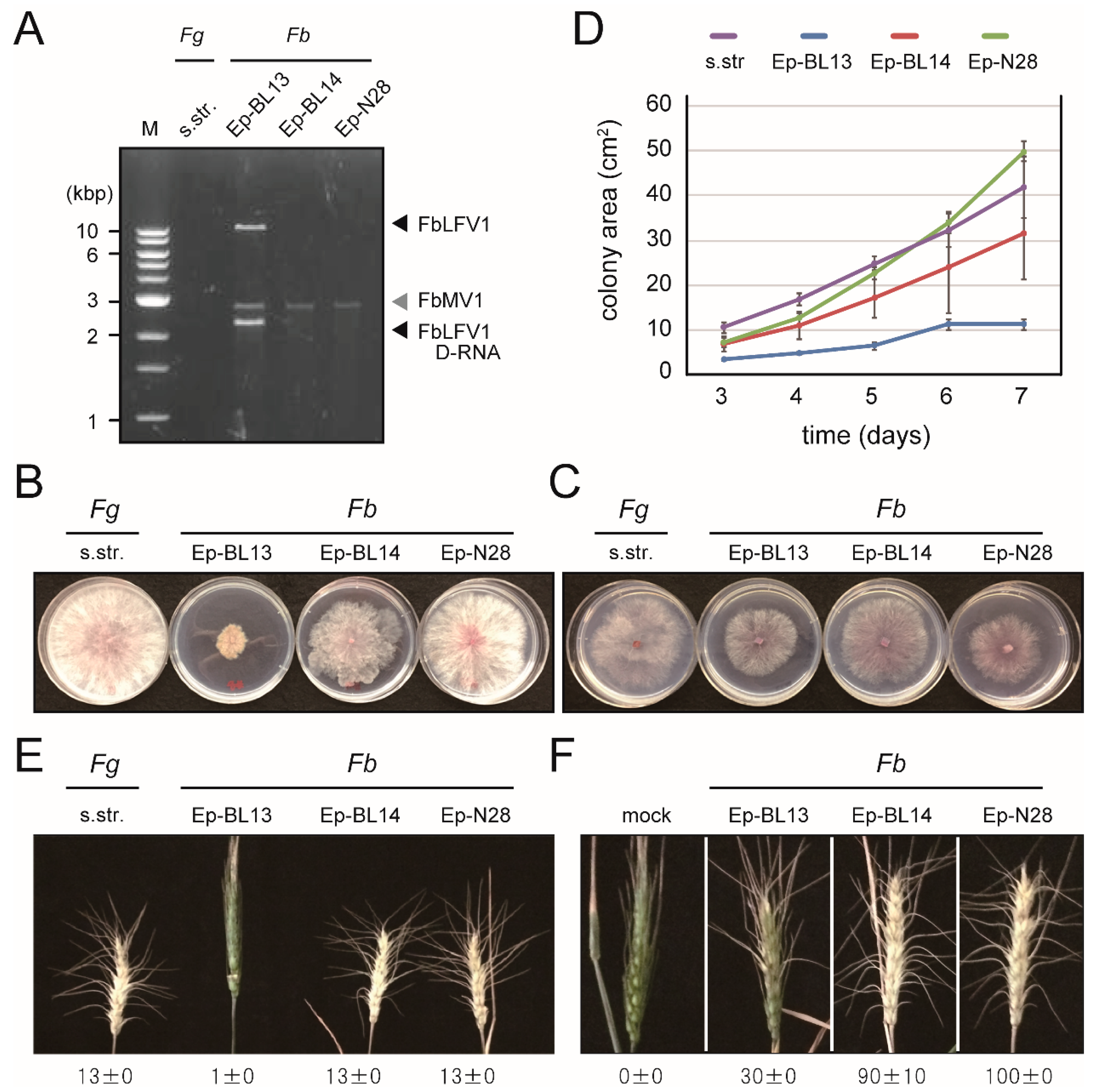 Viruses 10 00584 g001 Viruses 10 00584 g001