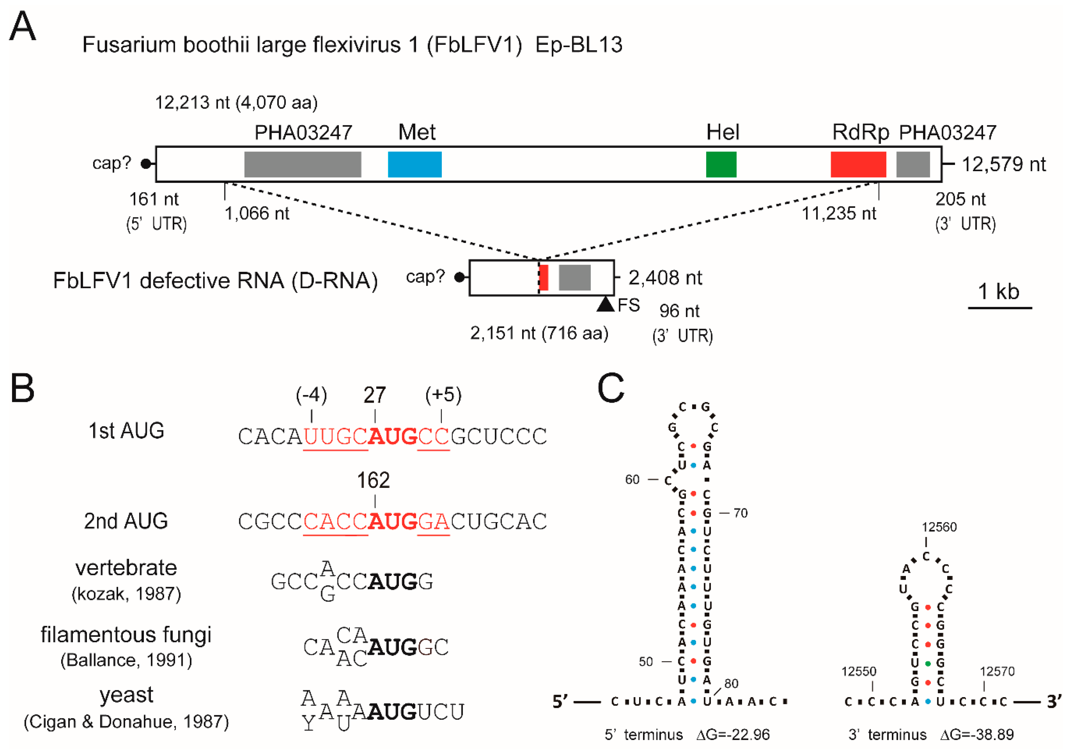 Viruses 10 00584 g002 Viruses 10 00584 g002