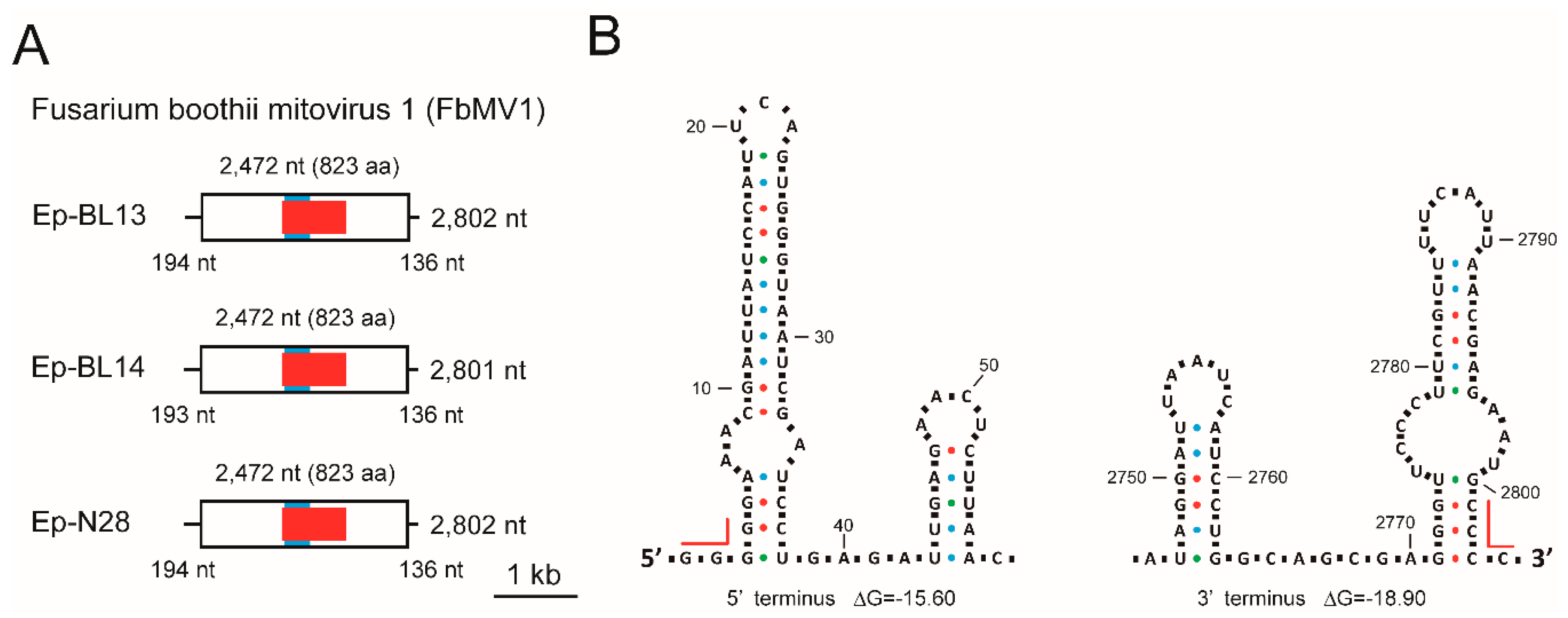 Viruses 10 00584 g005 Viruses 10 00584 g005
