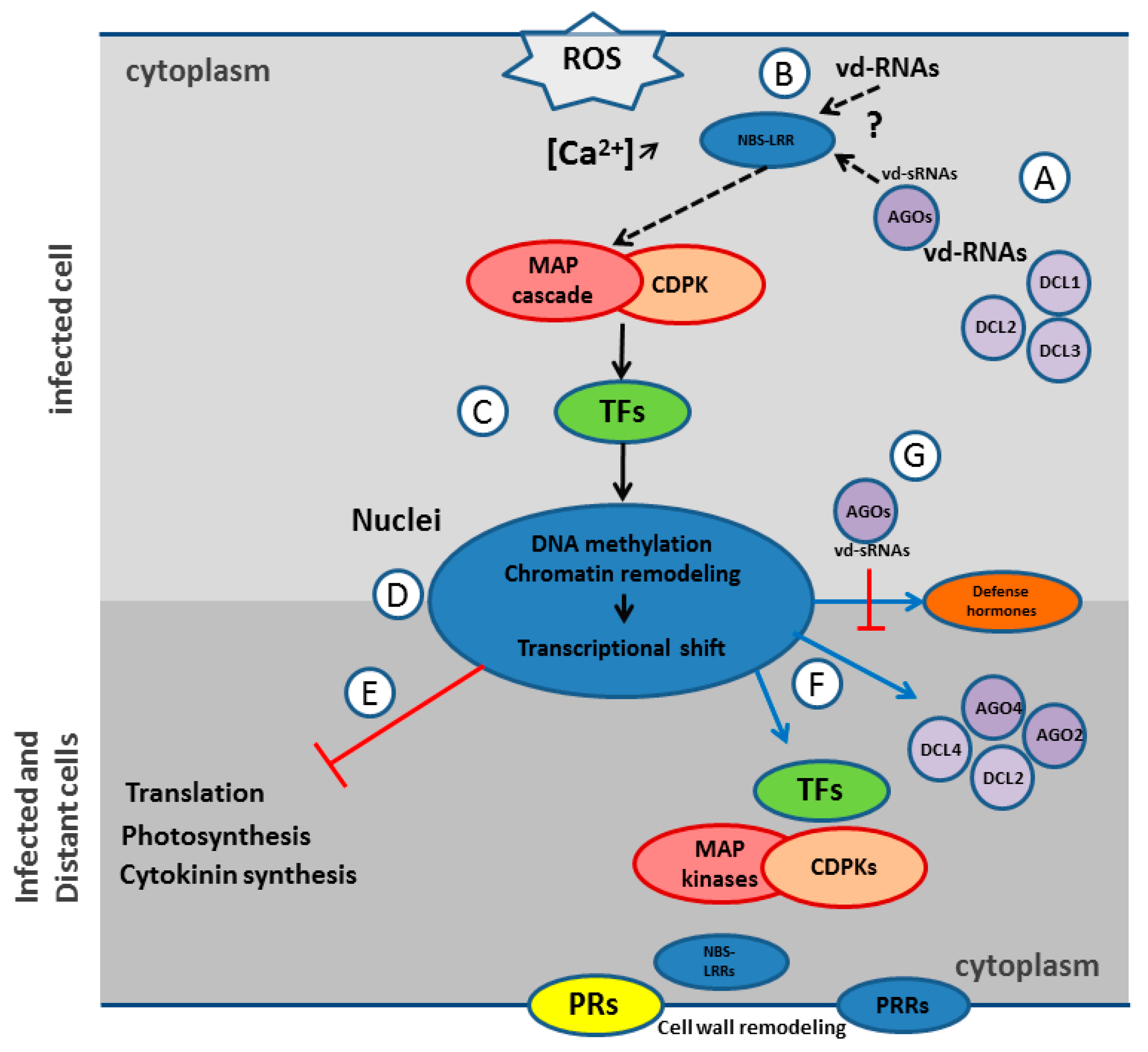 Viruses 10 00587 g005 Viruses 10 00587 g005