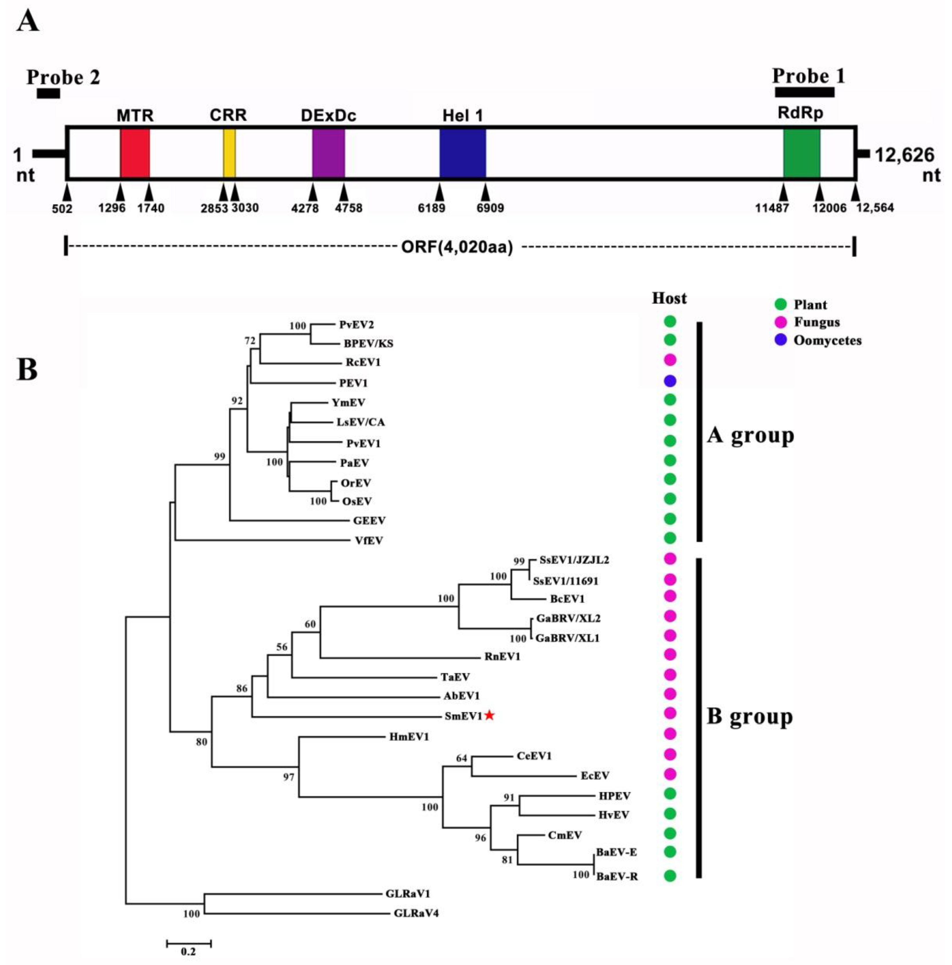 Viruses 10 00589 g002 Viruses 10 00589 g002