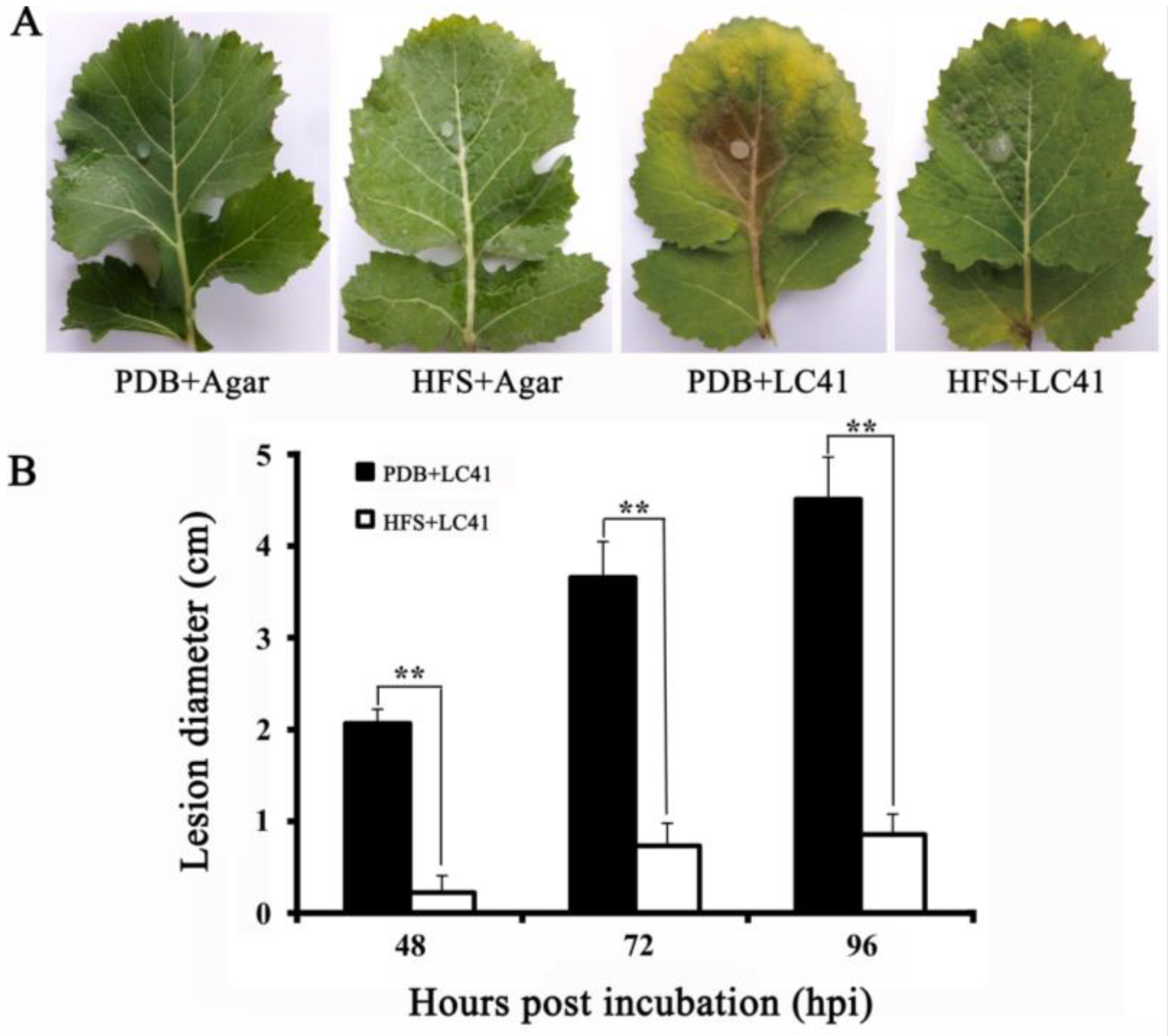 Viruses 10 00589 g005 Viruses 10 00589 g005