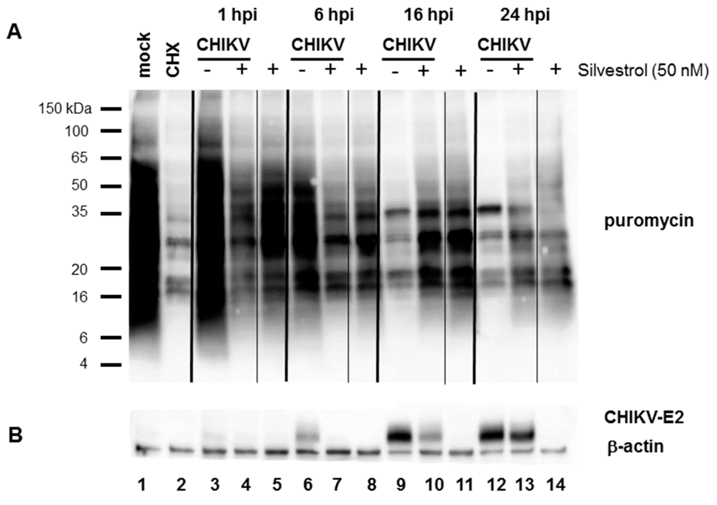 Viruses 10 00592 g004