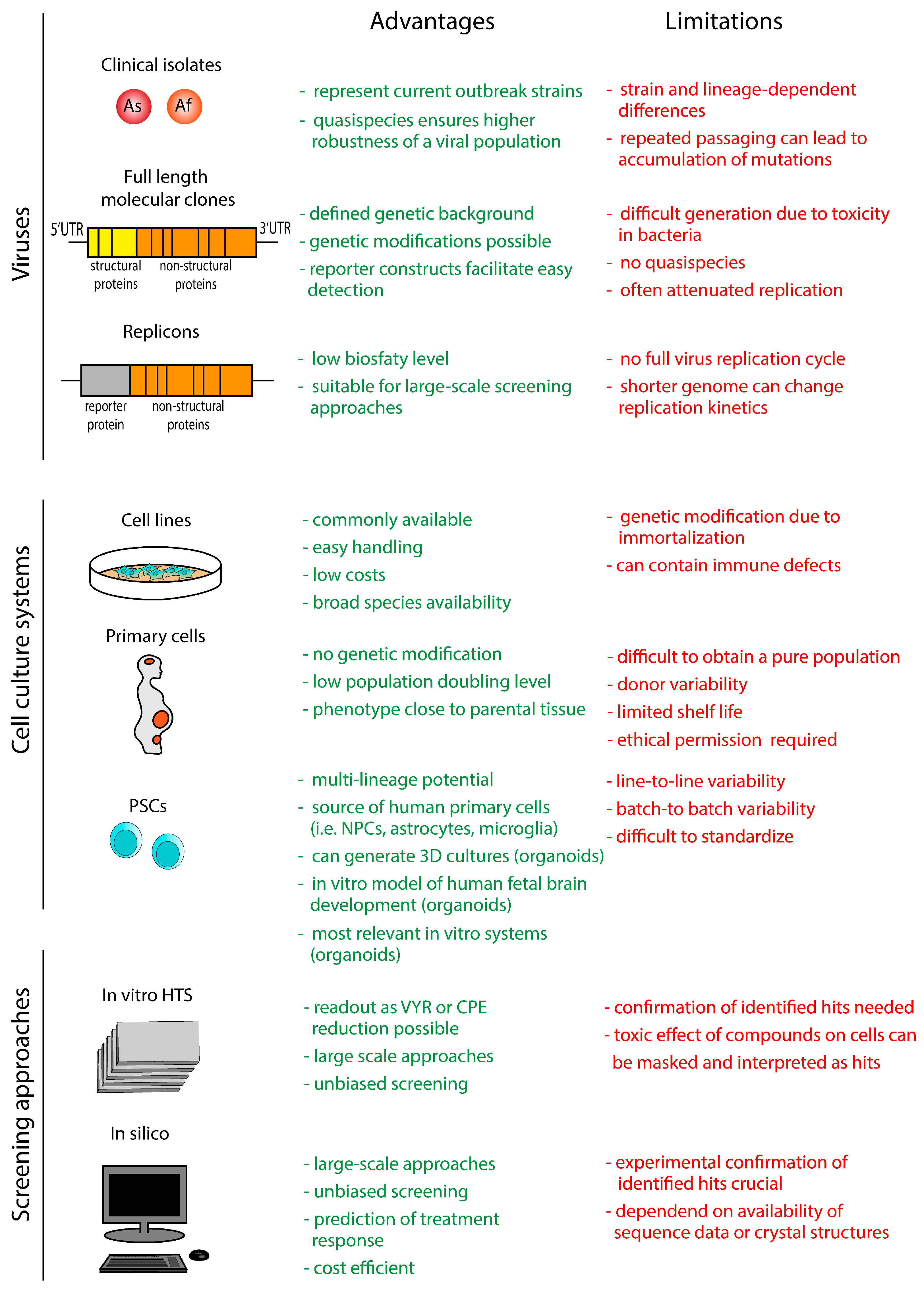 Viruses Free Full Text Research Models And Tools For The