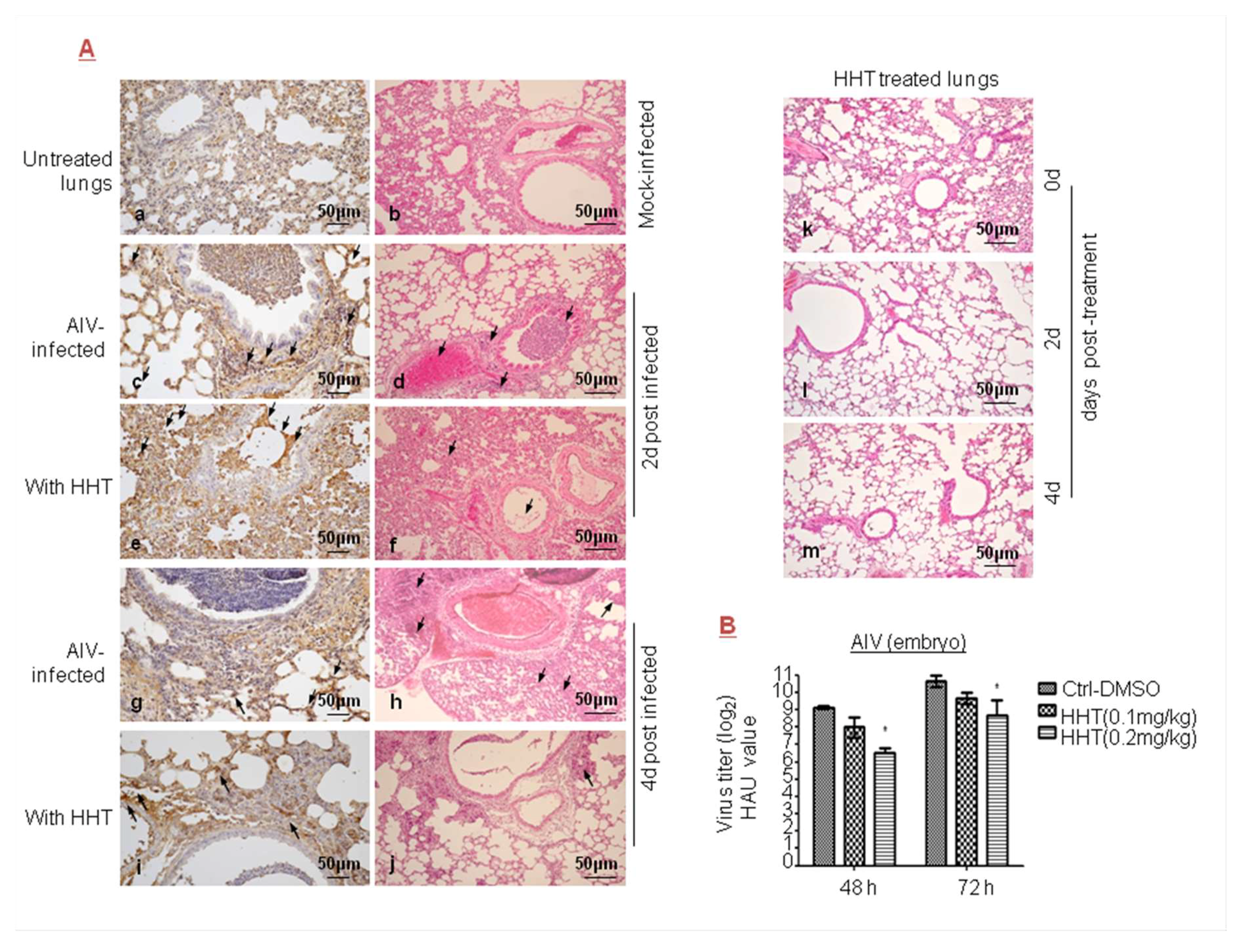 Viruses 10 00601 g004 Viruses 10 00601 g004