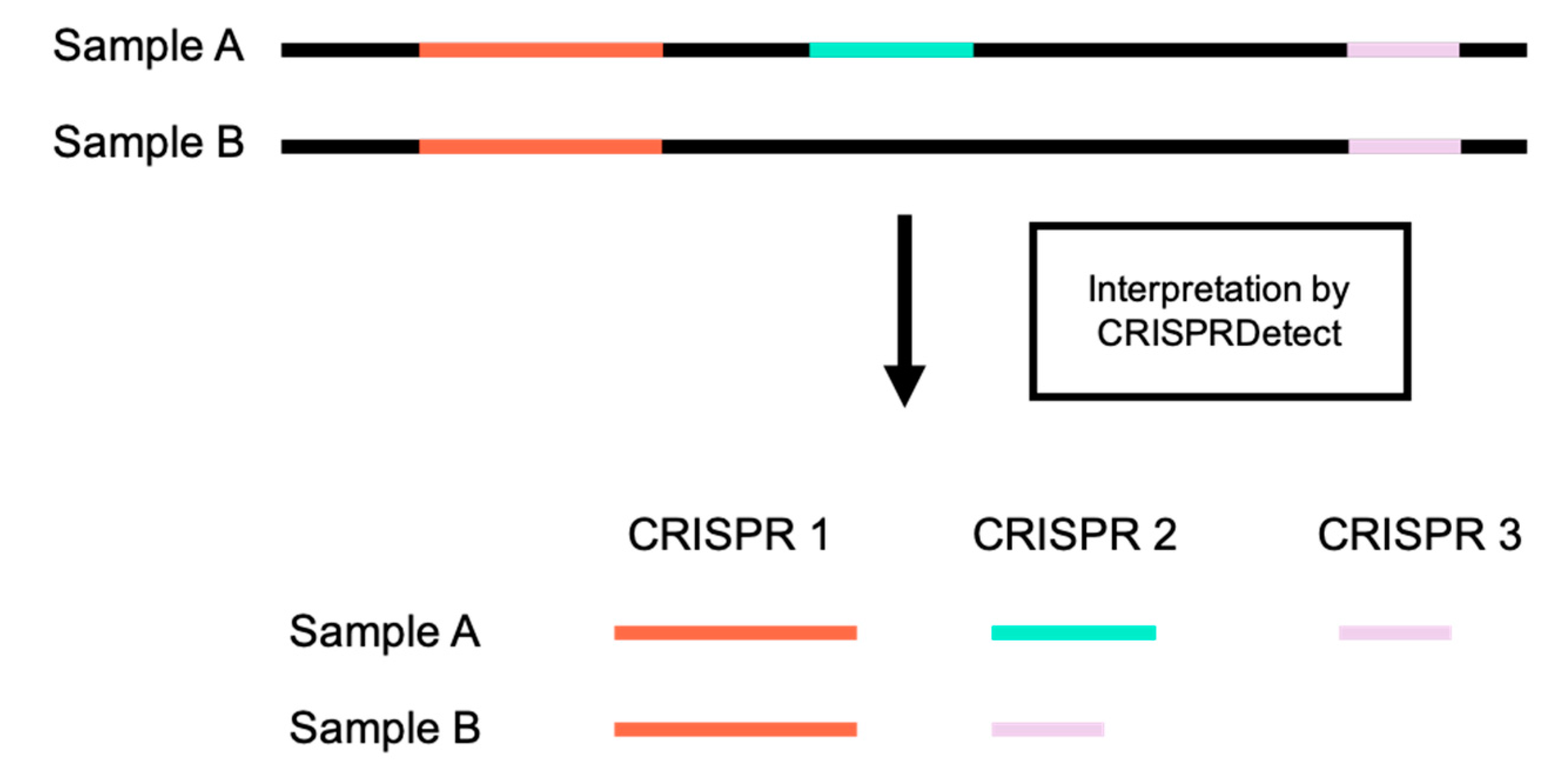 Viruses 10 00602 g005