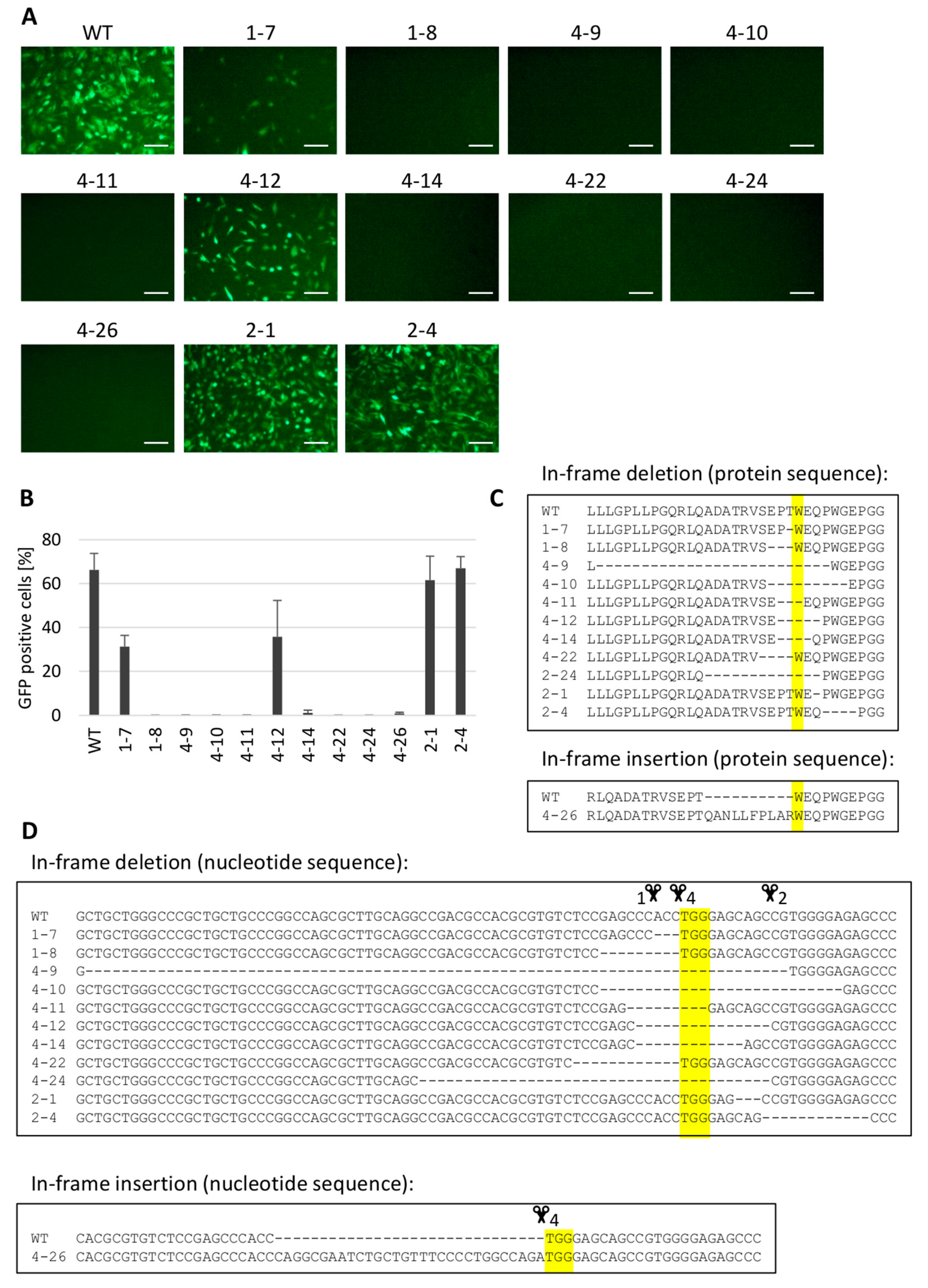 Viruses 10 00605 g005 Viruses 10 00605 g005