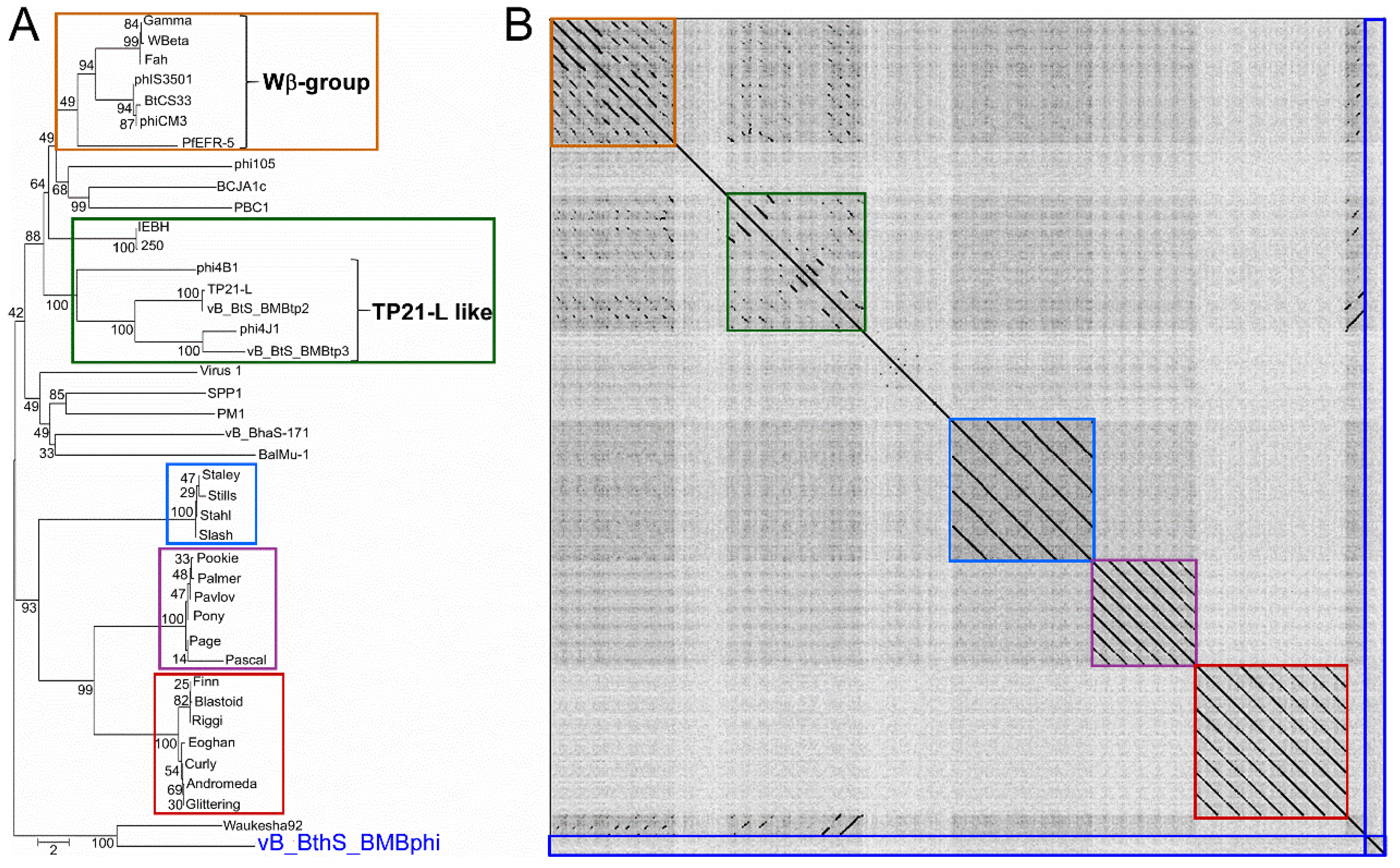 Viruses 10 00611 g004