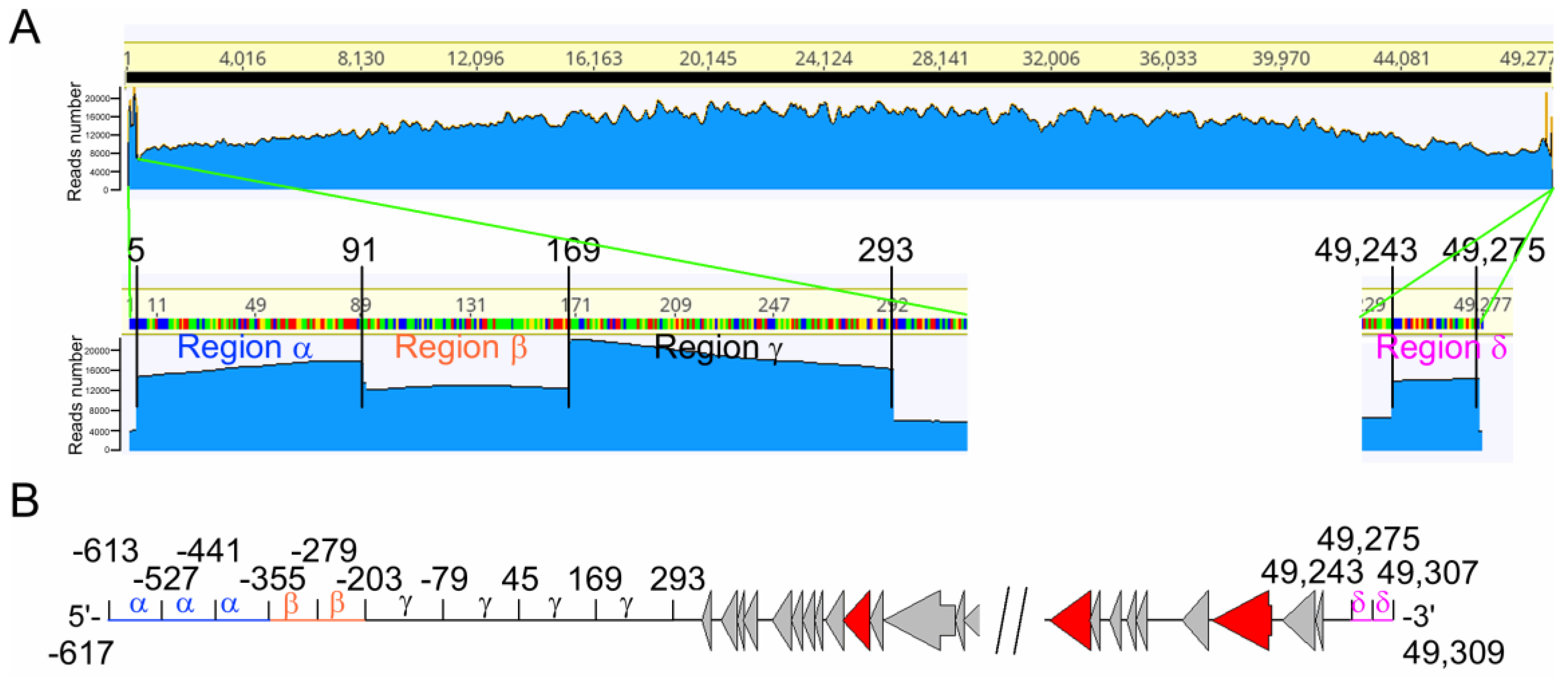 Viruses 10 00611 g005