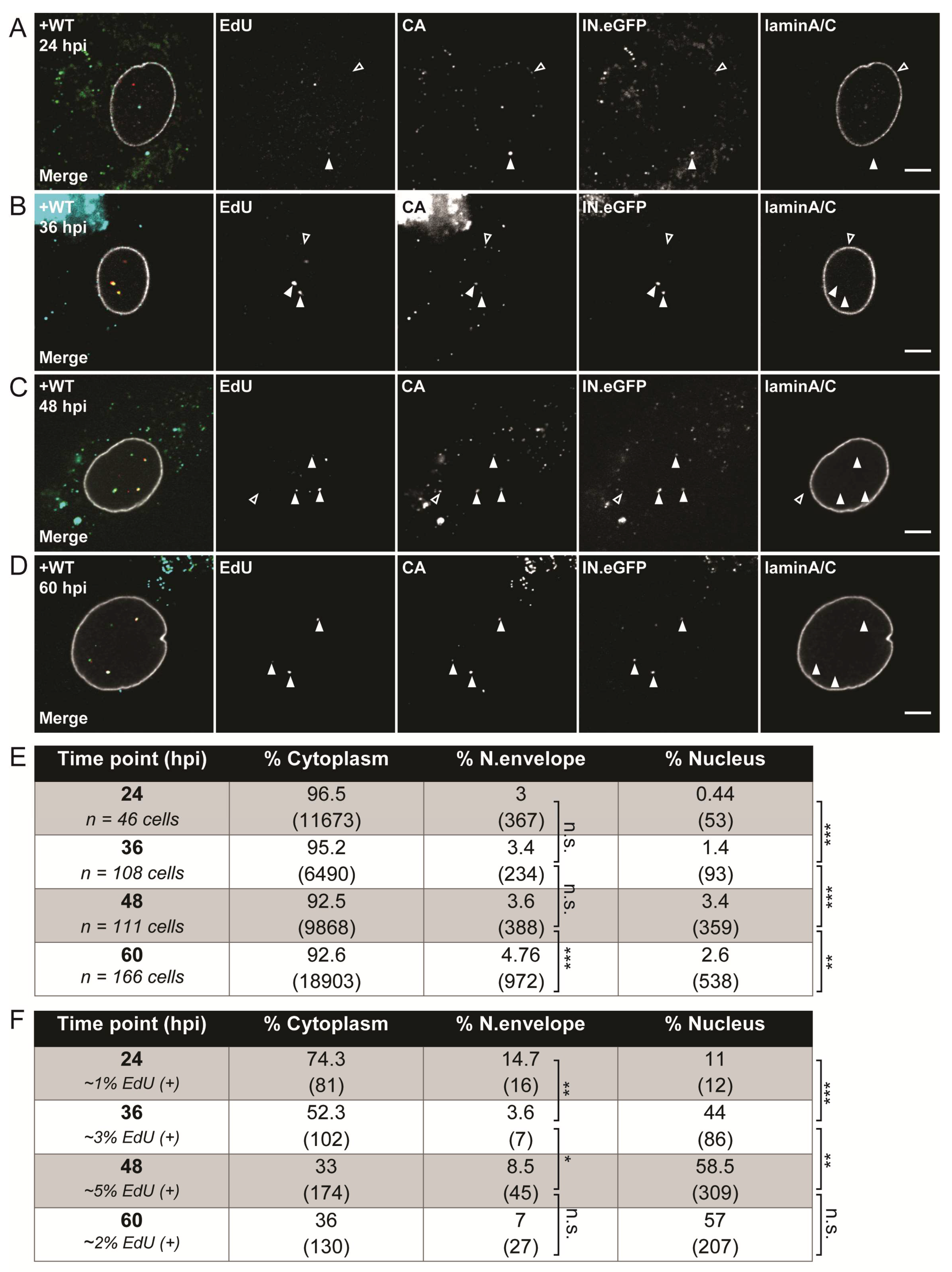Viruses 10 00620 g003