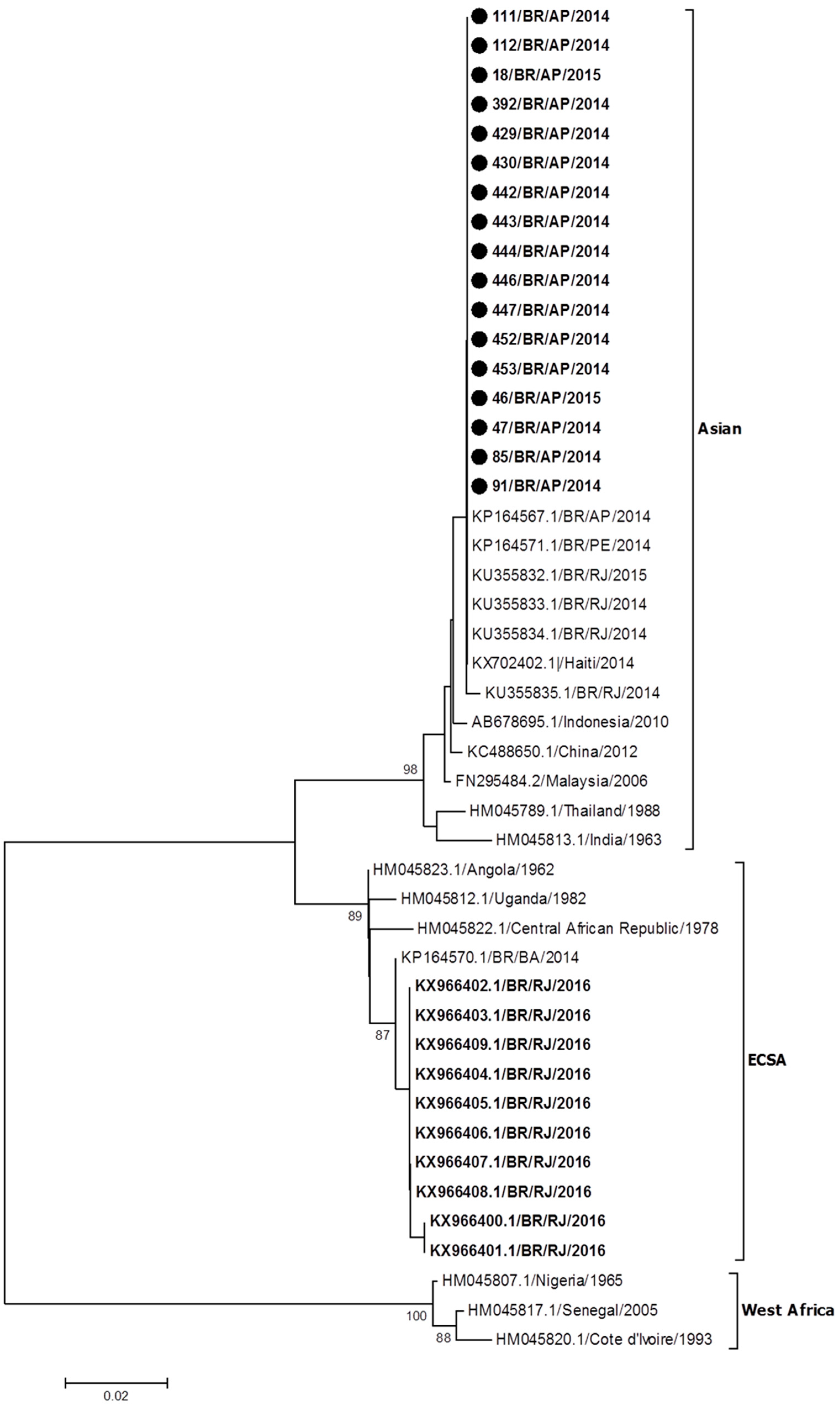 Viruses 10 00623 g001 Viruses 10 00623 g001