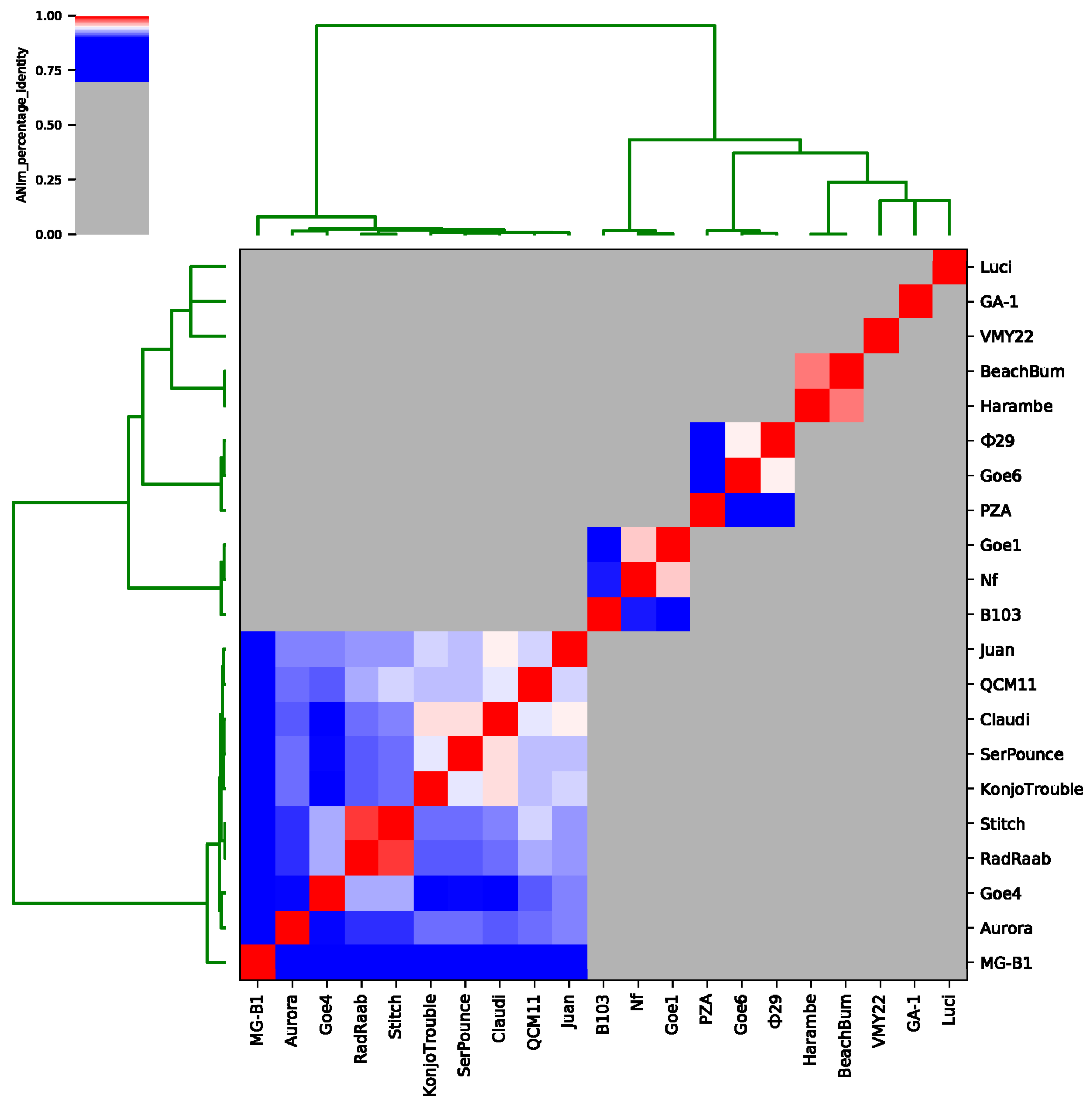 Viruses 10 00624 g003