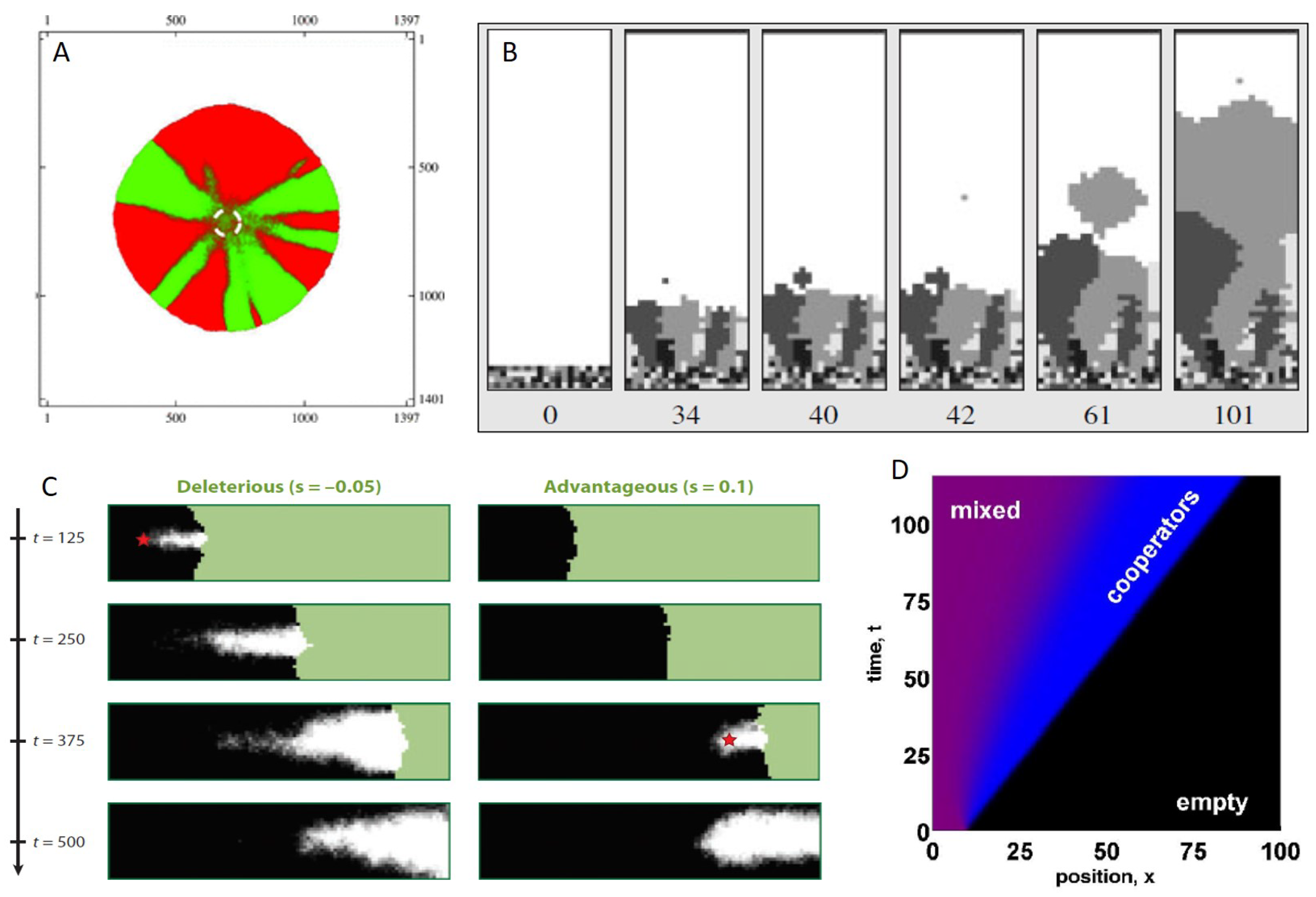 Viruses 10 00627 g004