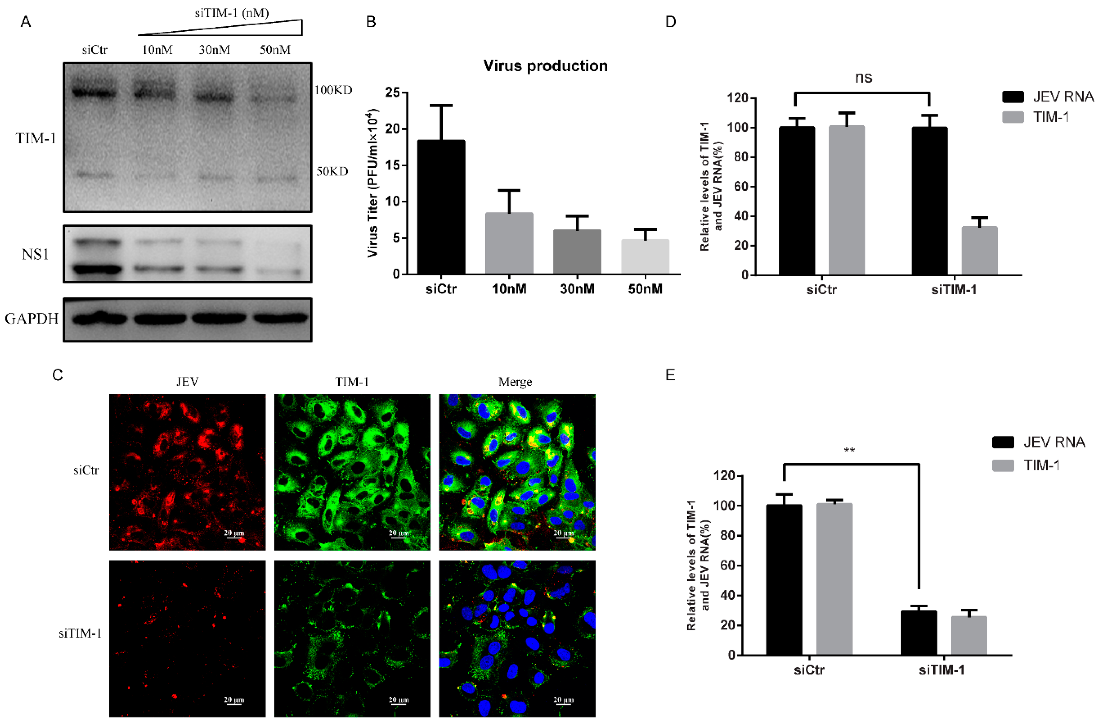 Viruses 10 00630 g006 Viruses 10 00630 g006