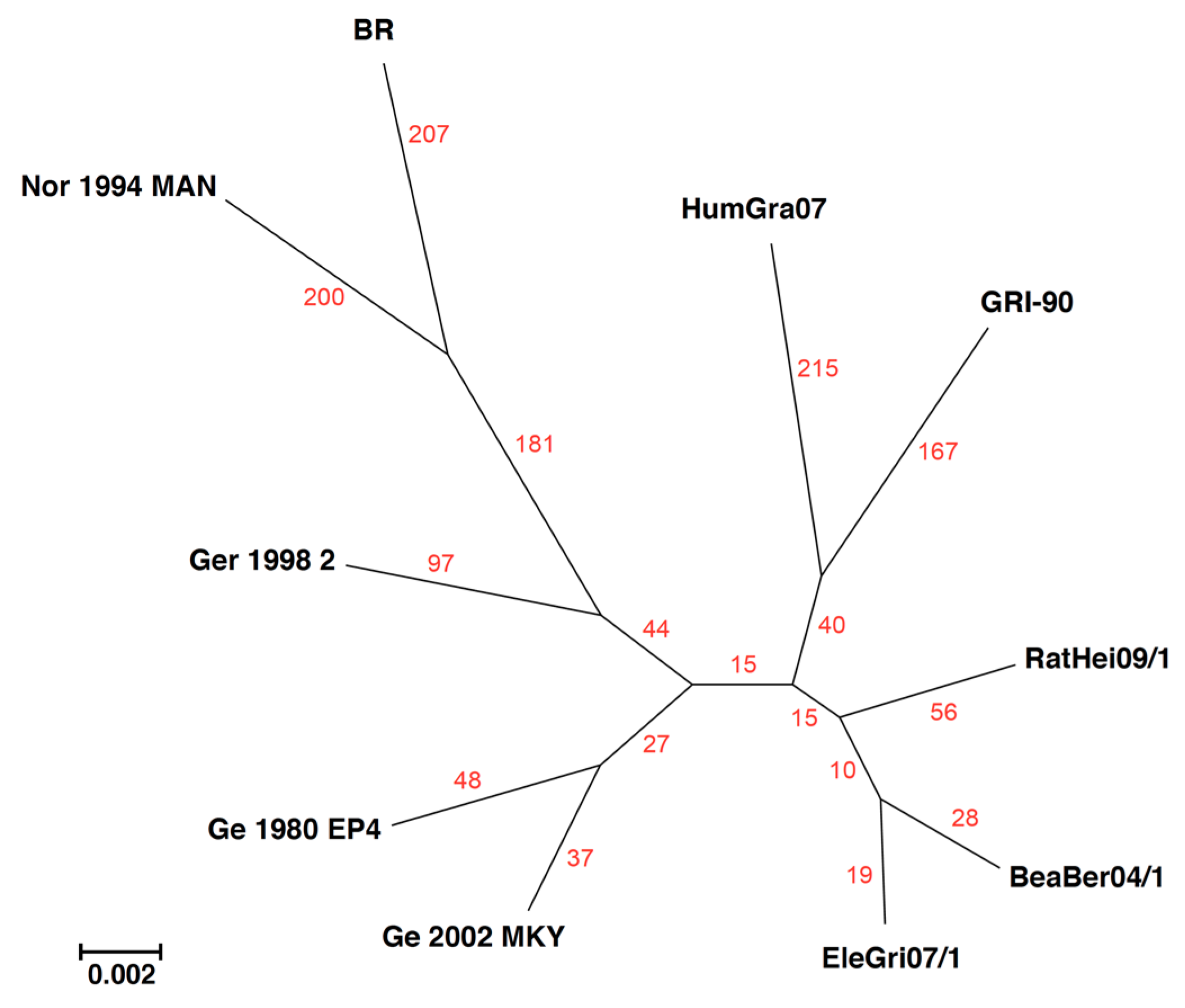 Viruses 10 00637 g004
