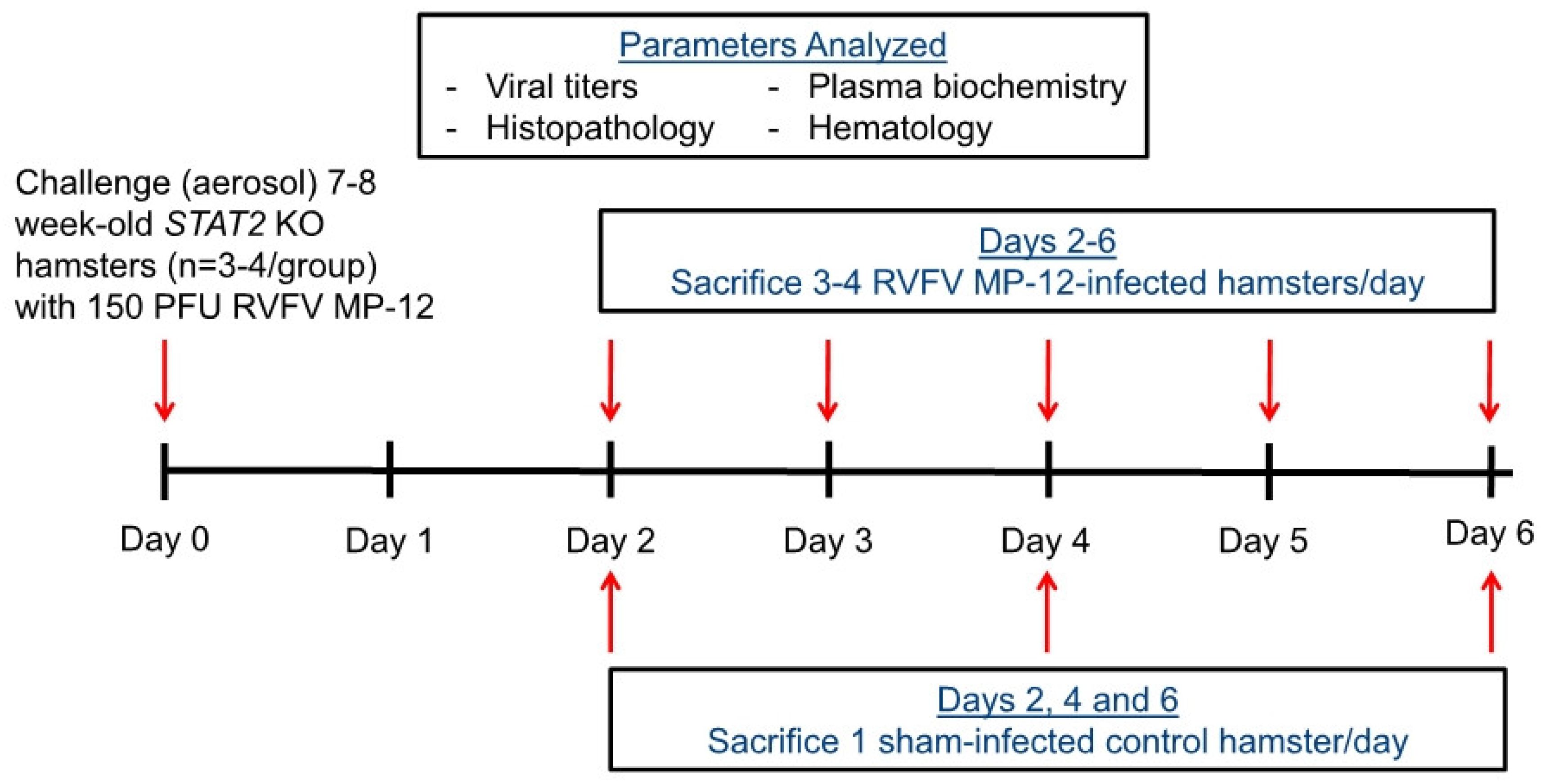 Viruses 10 00651 g001