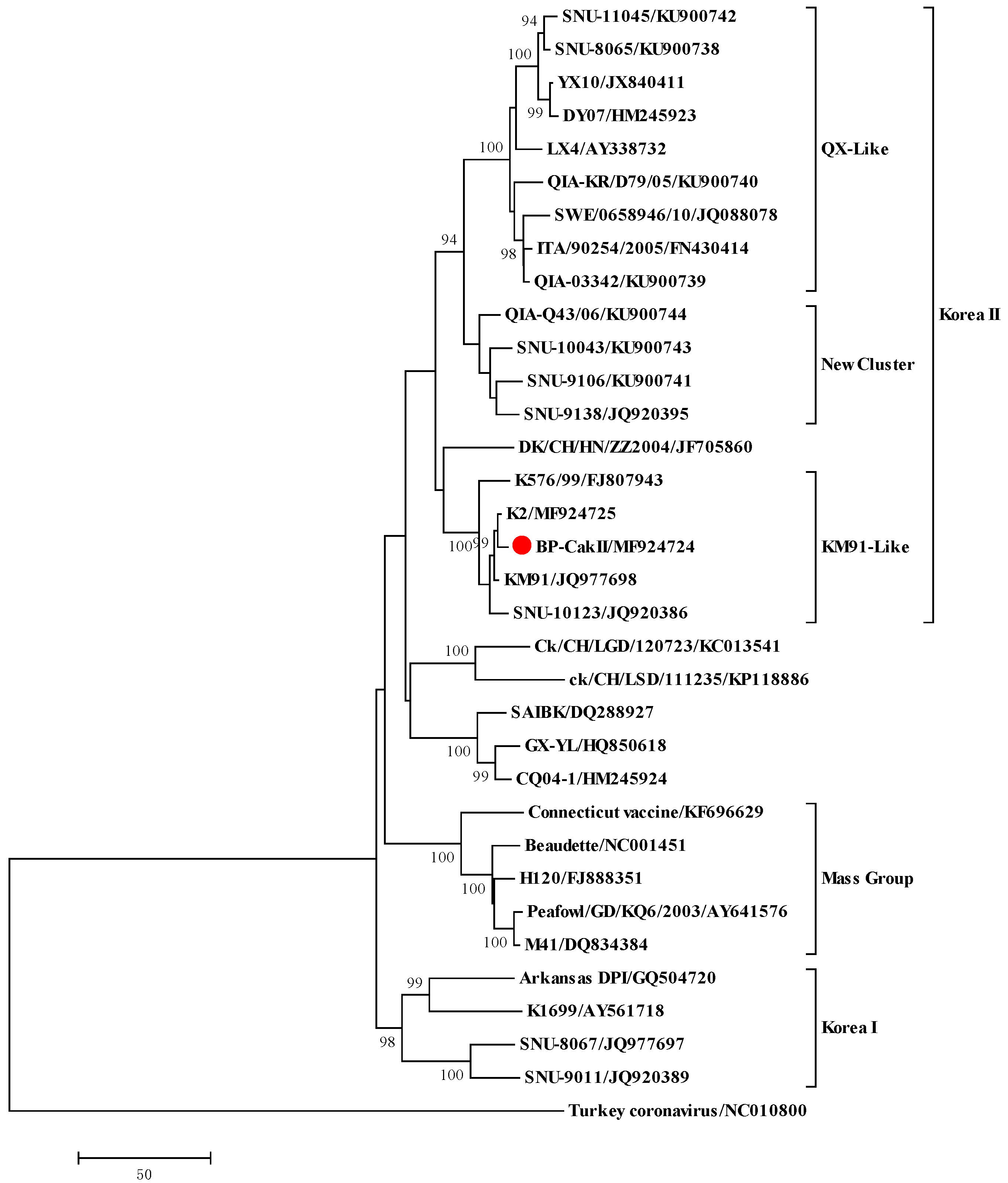 Viruses 10 00652 g003 Viruses 10 00652 g003