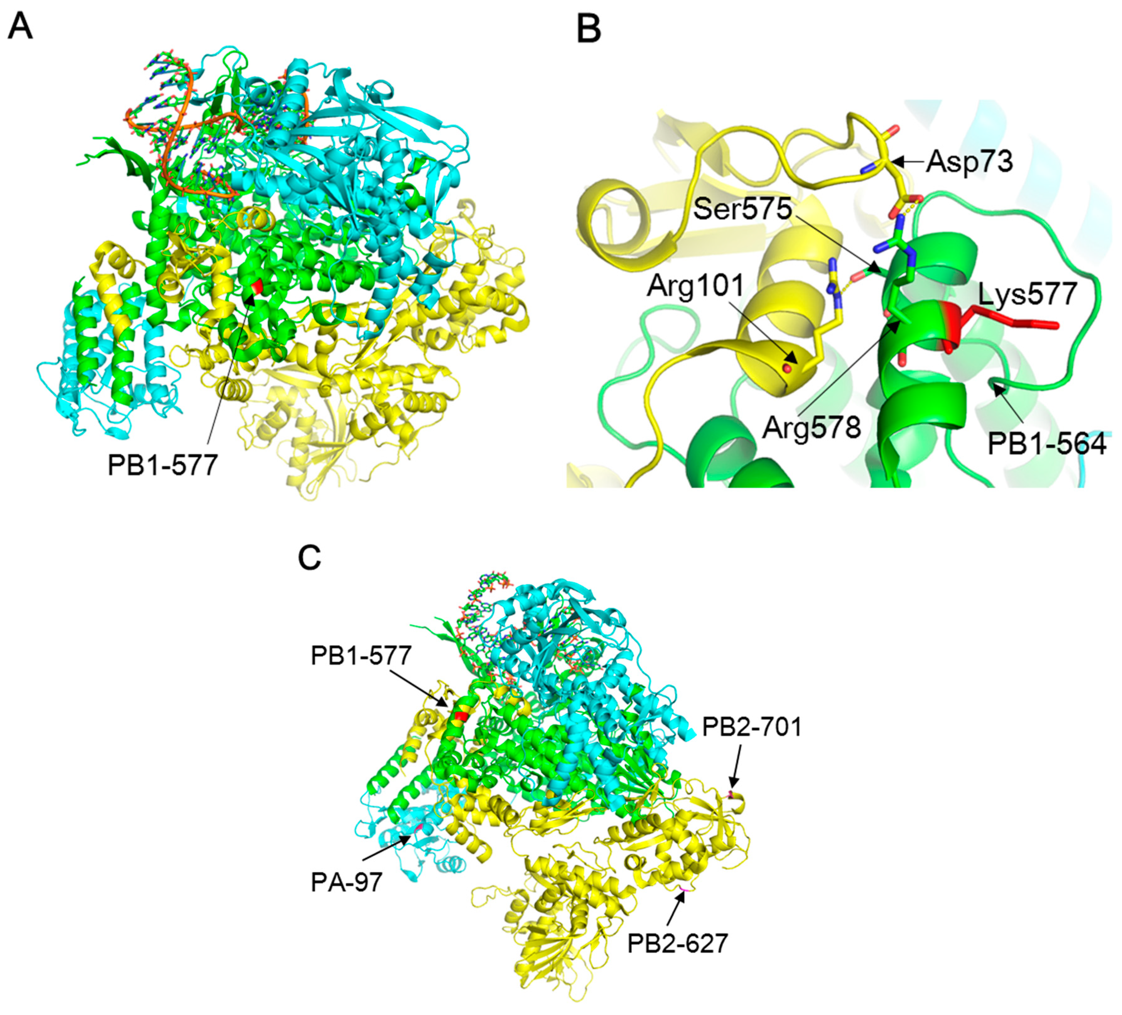Viruses 10 00653 g005