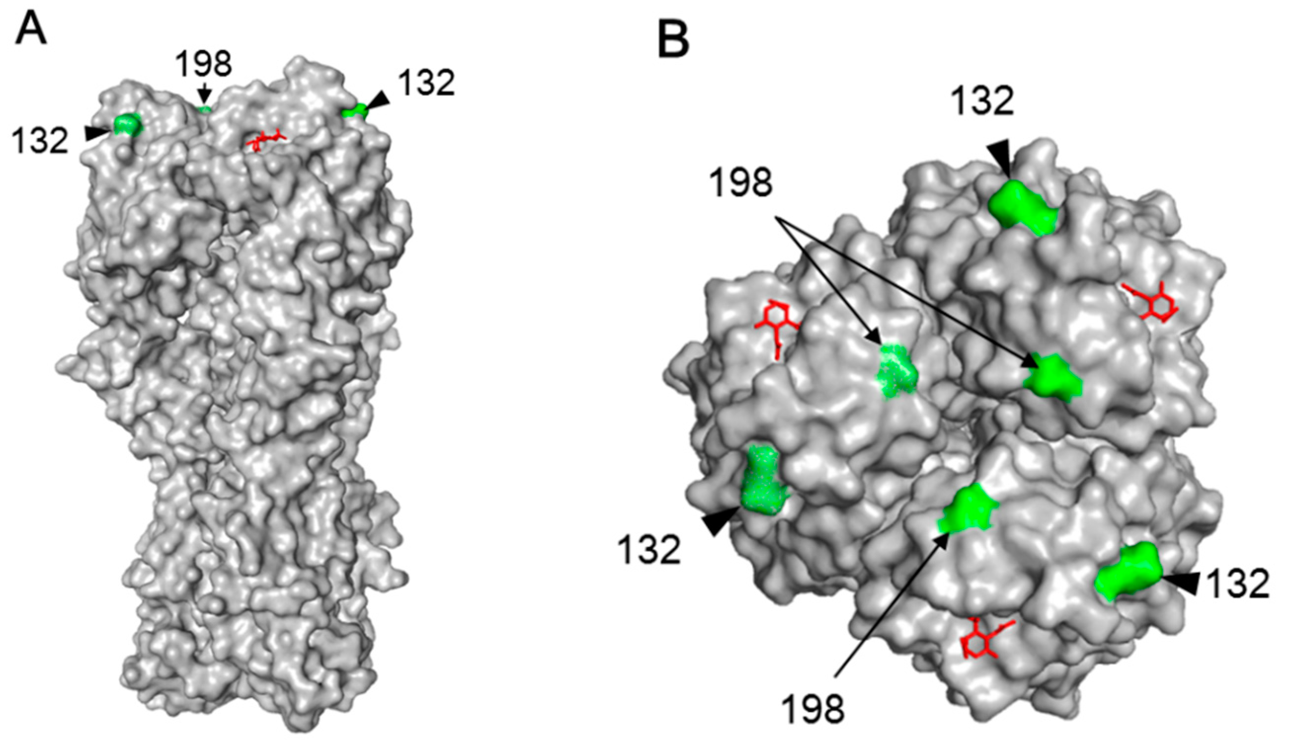 Viruses 10 00653 g006