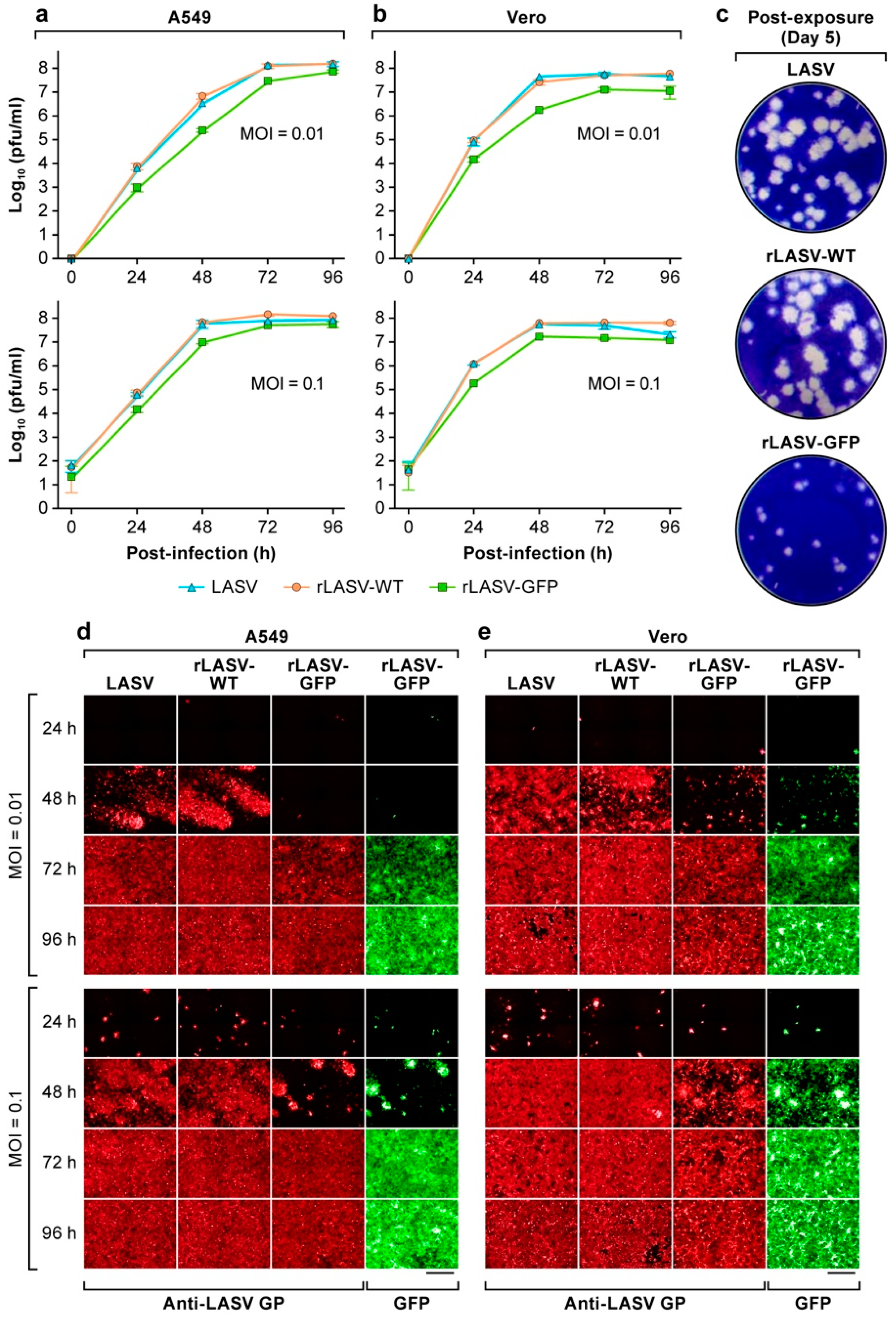 Viruses 10 00655 g002