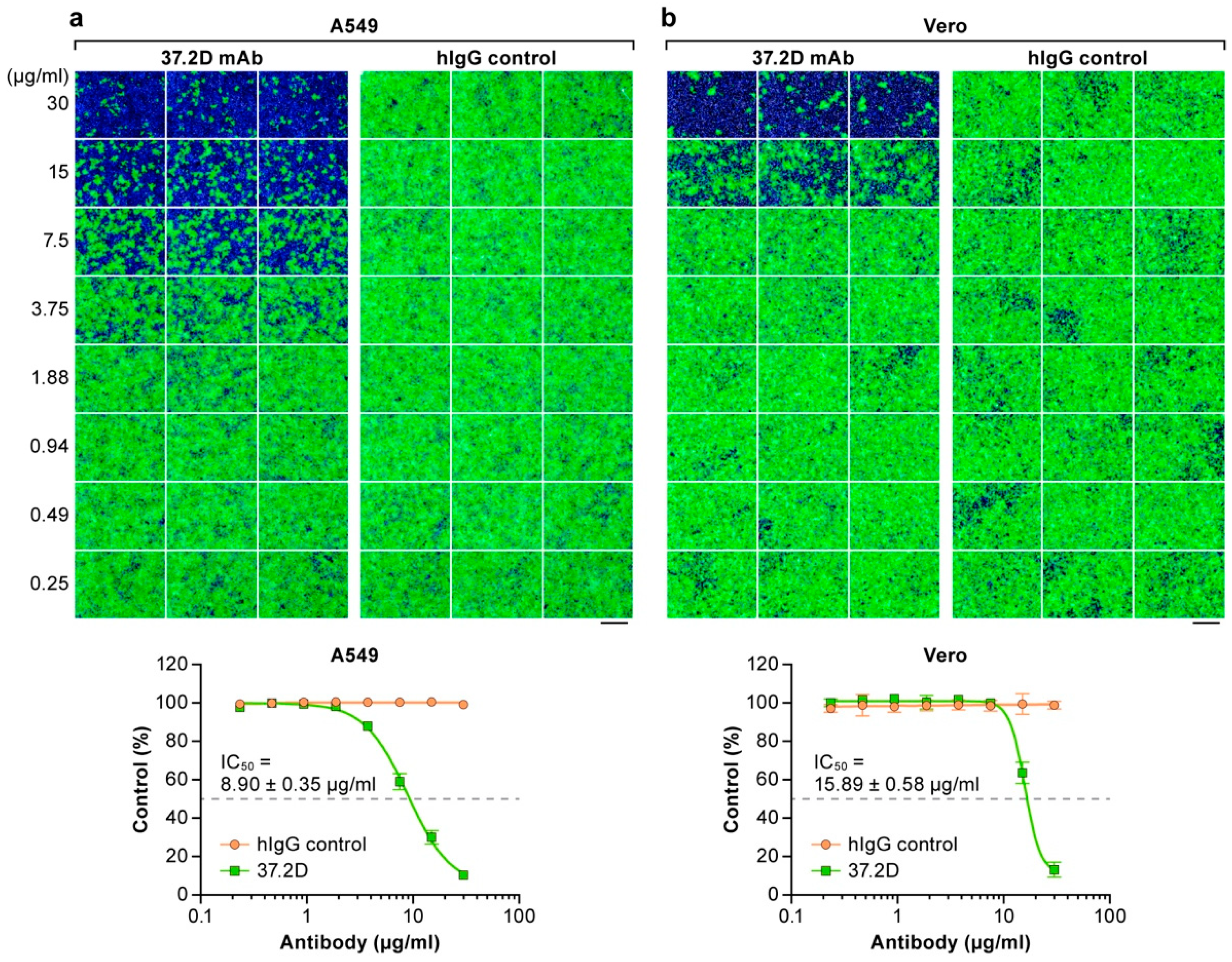 Viruses 10 00655 g005
